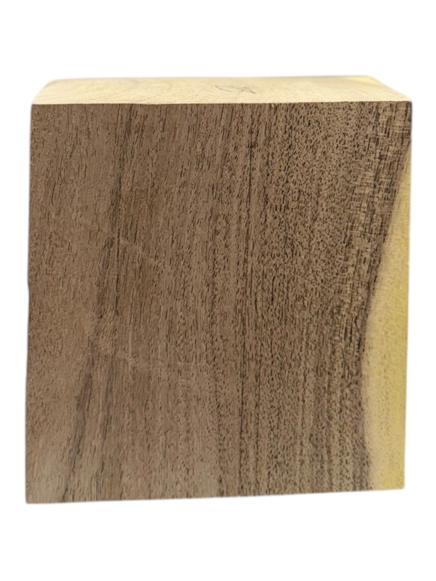 Mesquite Bowl Blank 2 piece set M17, M18