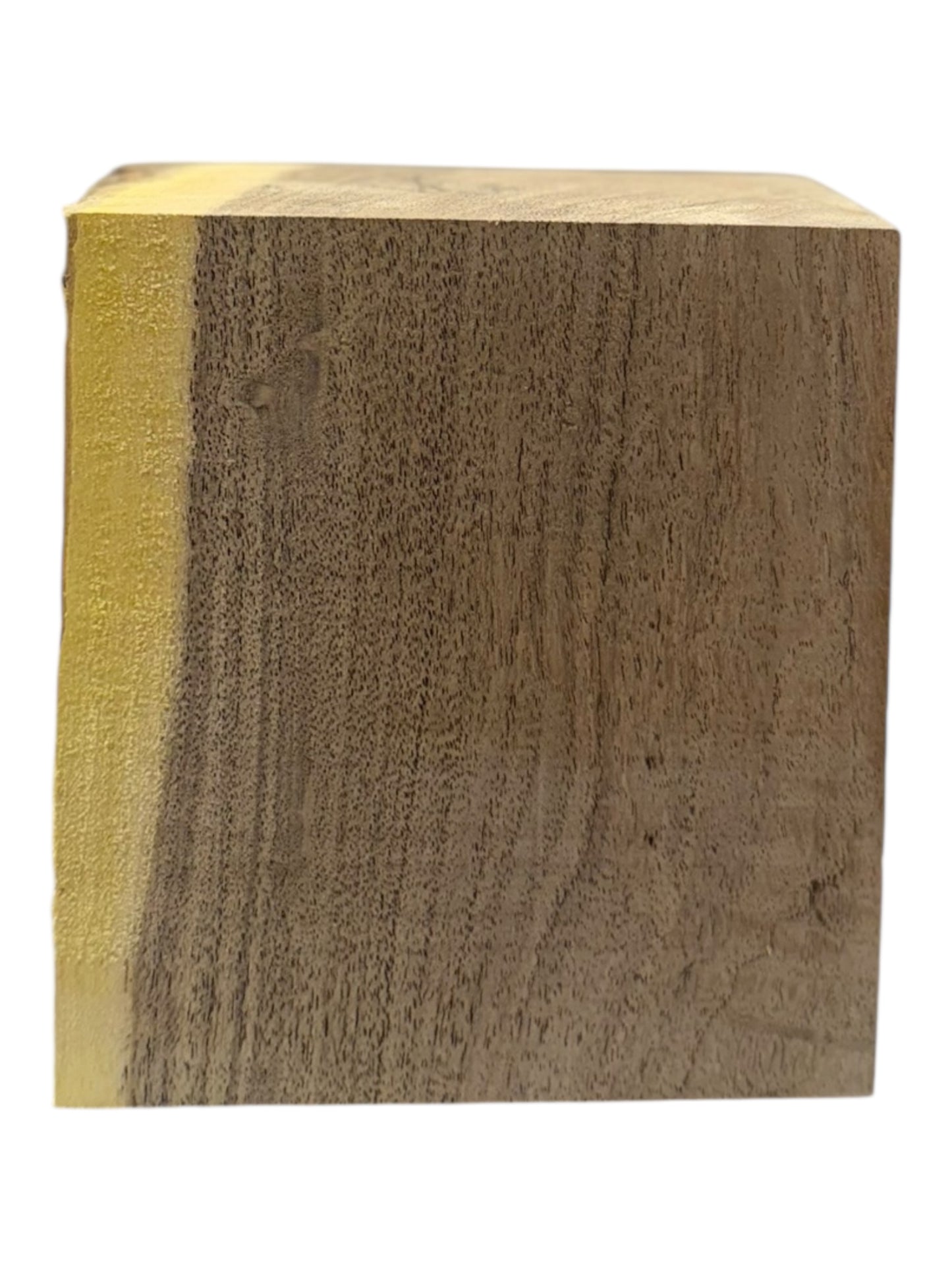 Mesquite Bowl Blank 2 piece set #200, #201