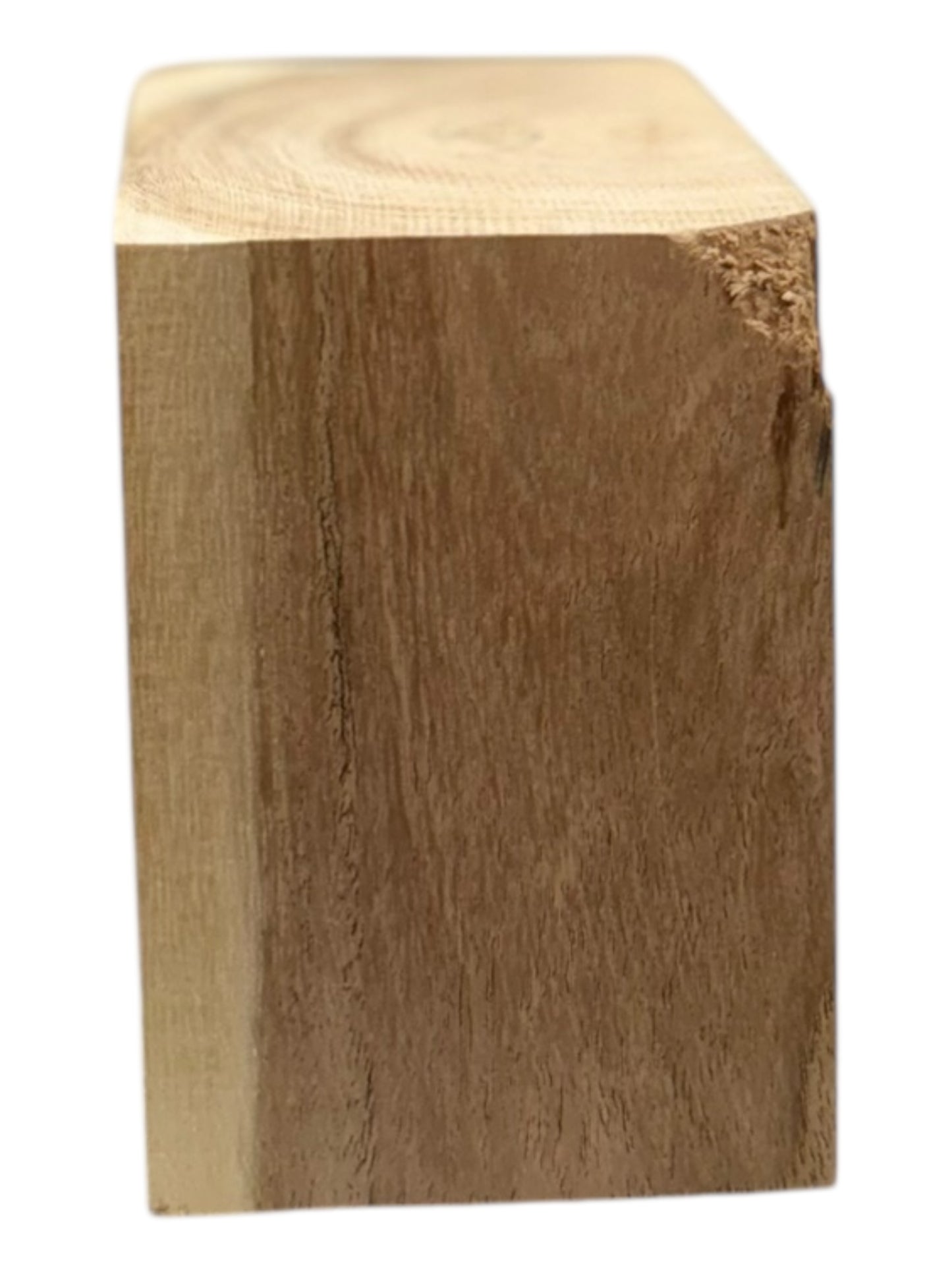 Mesquite Bowl Blank 2 piece set M17, M18