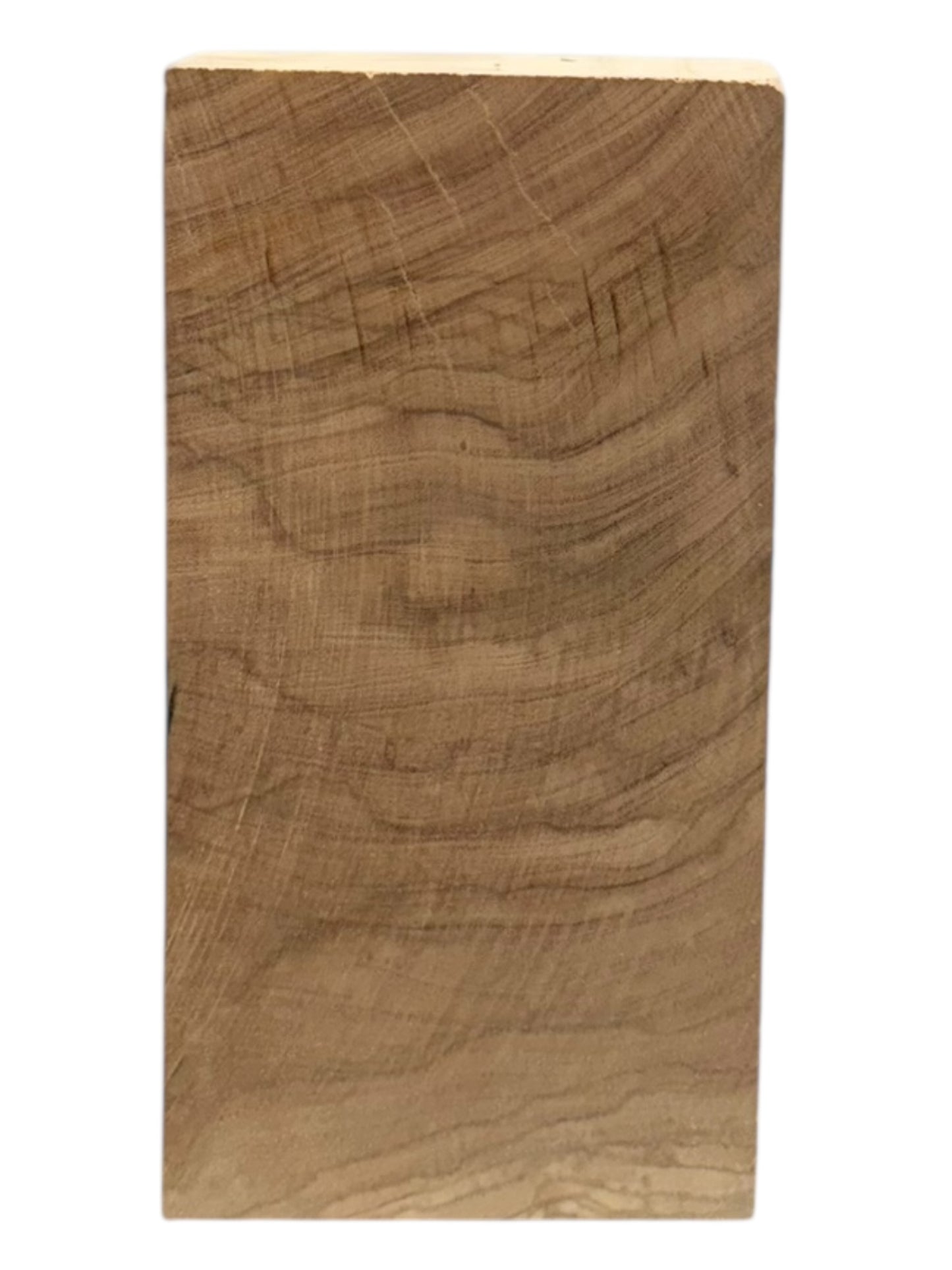 Olive Wood Turning Blank 2 Piece Set. #230, #231