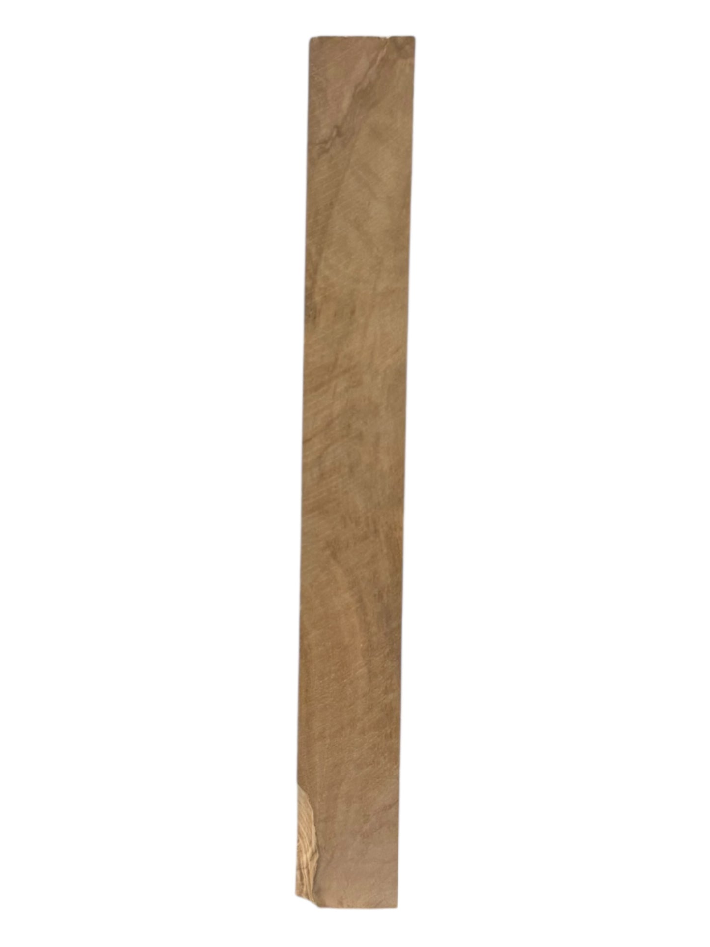 Olive Wood Turning Blank 3 Piece Set. #260, #261, #262