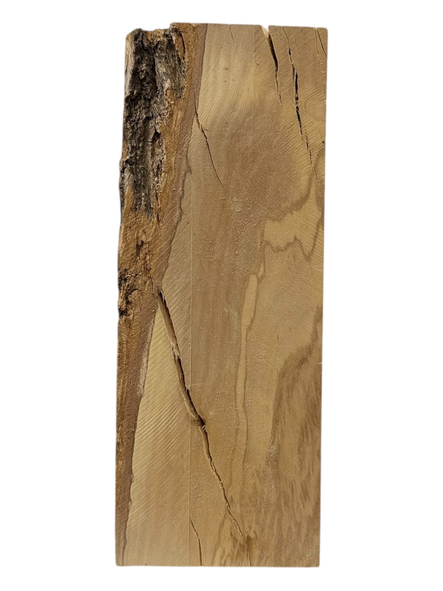 Olive Wood Turning Blank 2 Piece Set. #220, #221