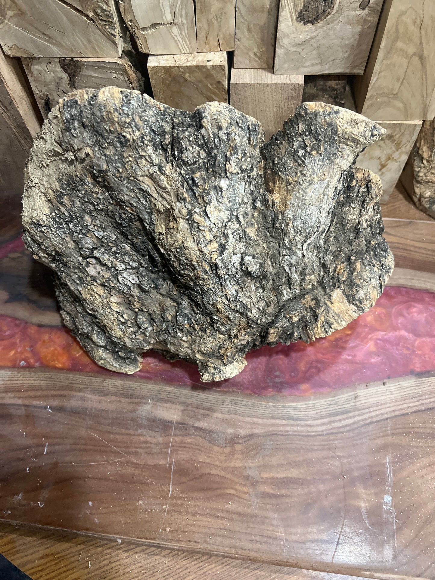 Stunning olive wood burl piece #983