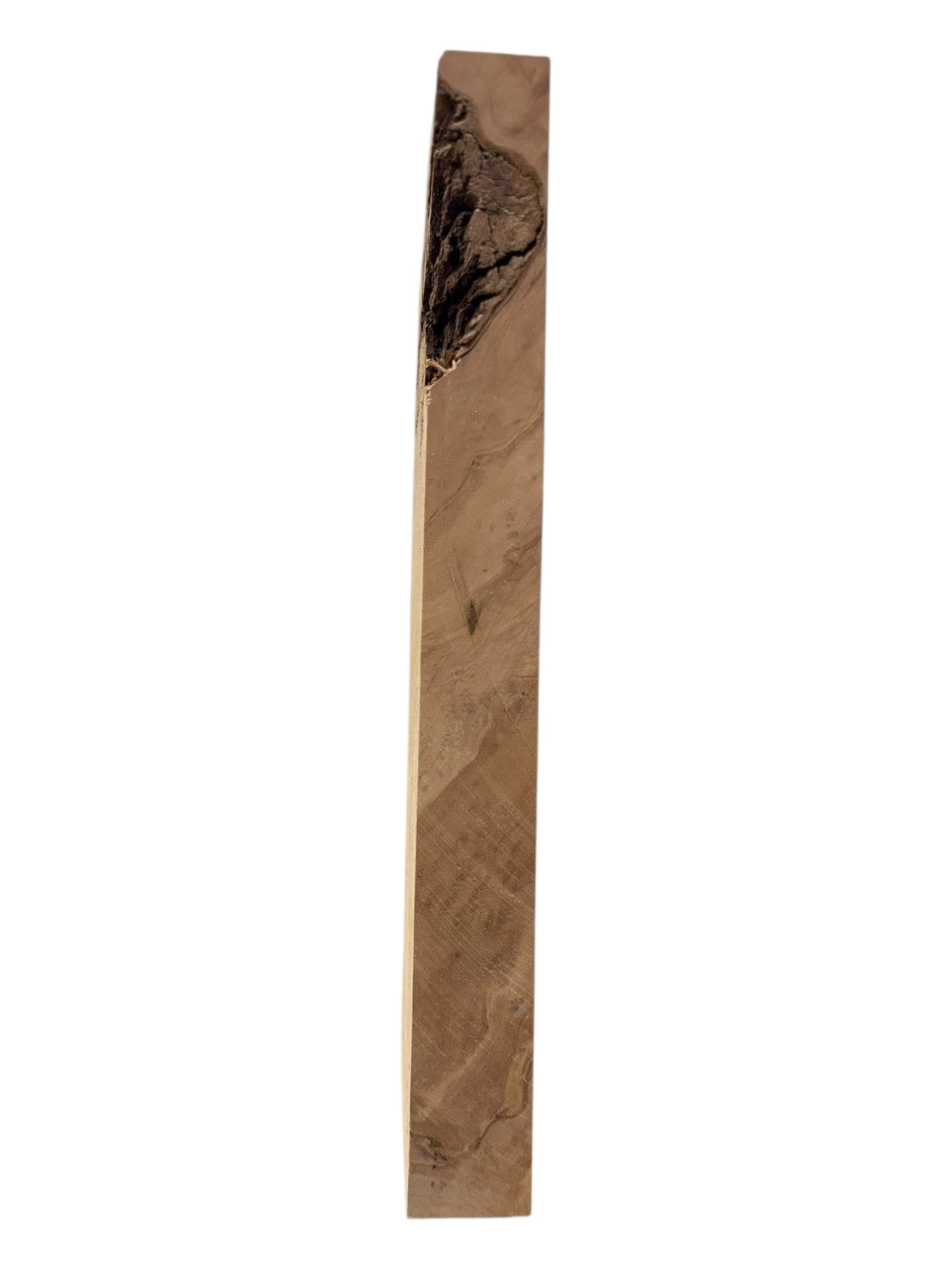 Olive Wood Highly Figured Blank 015