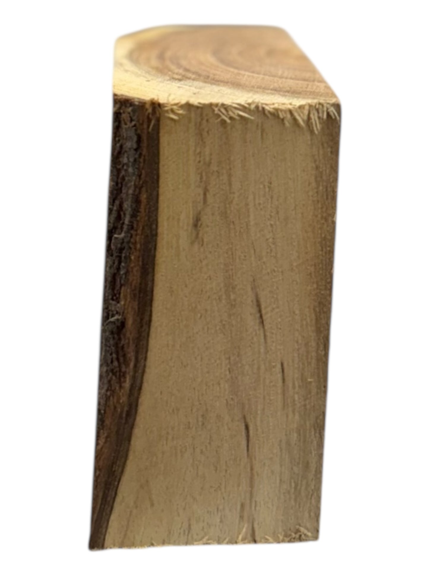 Mesquite Bowl Blank 2 piece set #200, #201