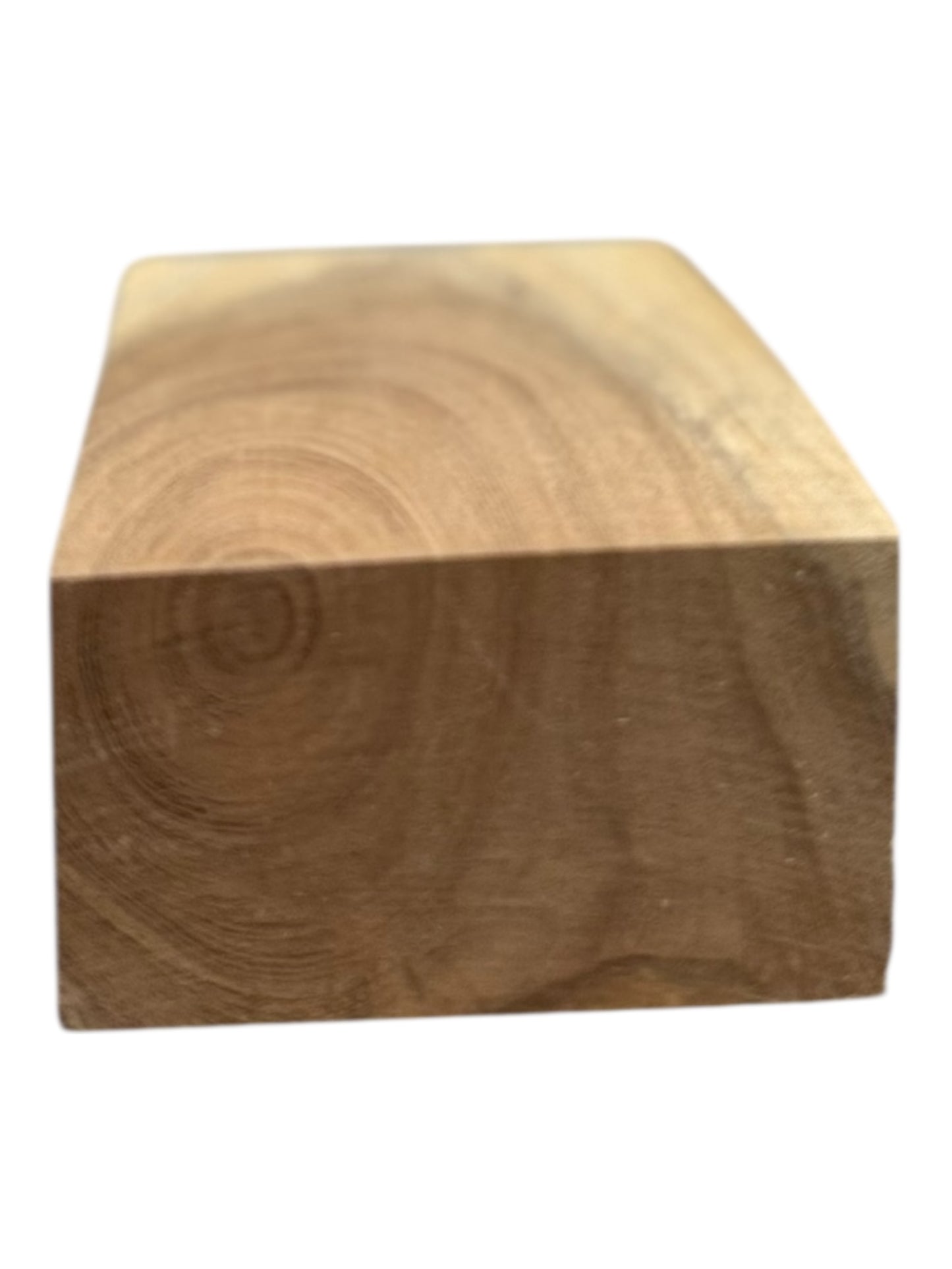 Mesquite Bowl Blank 2 piece set M19, M20
