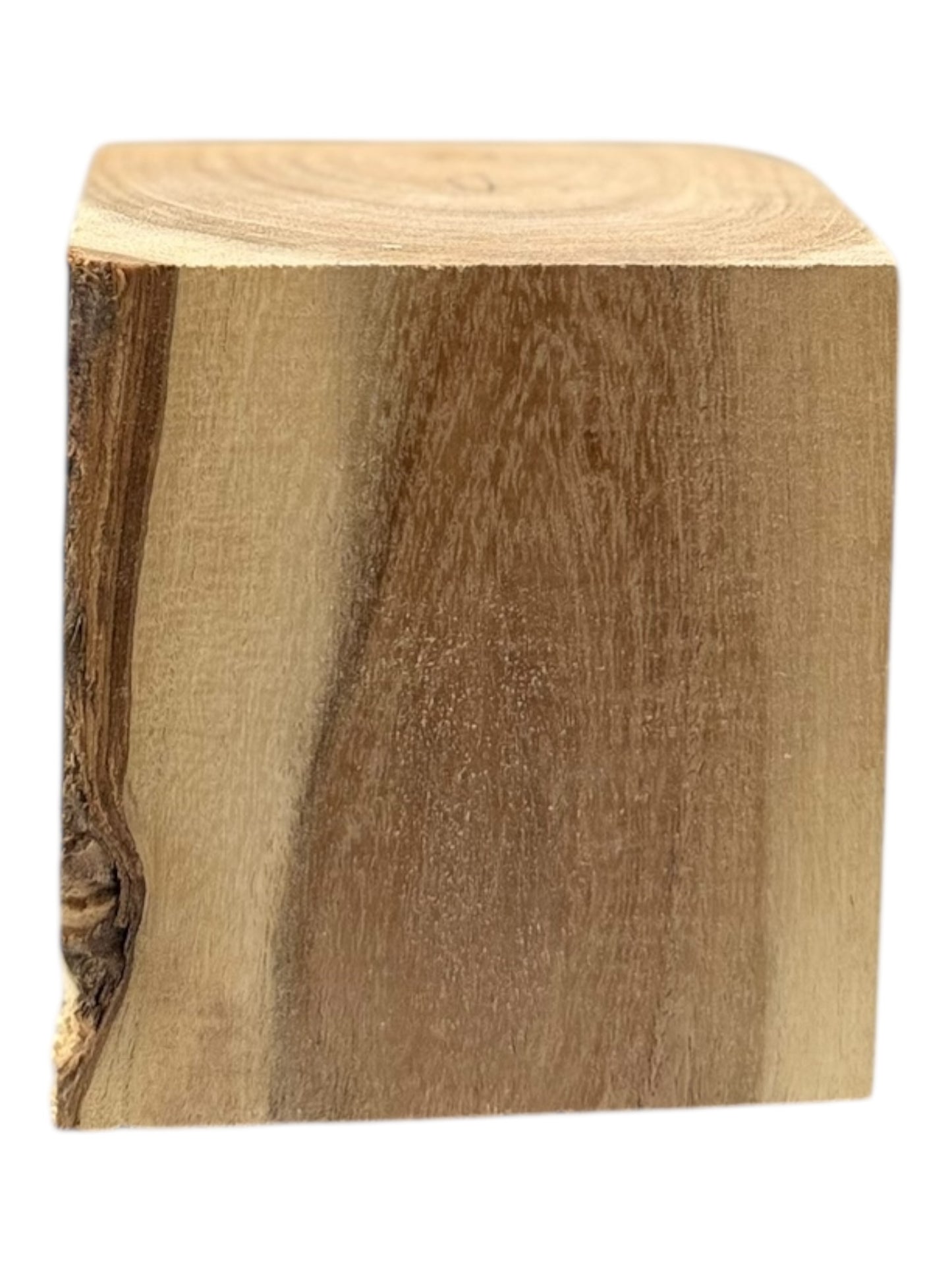 Mesquite Bowl Blank 2 piece set M17, M18