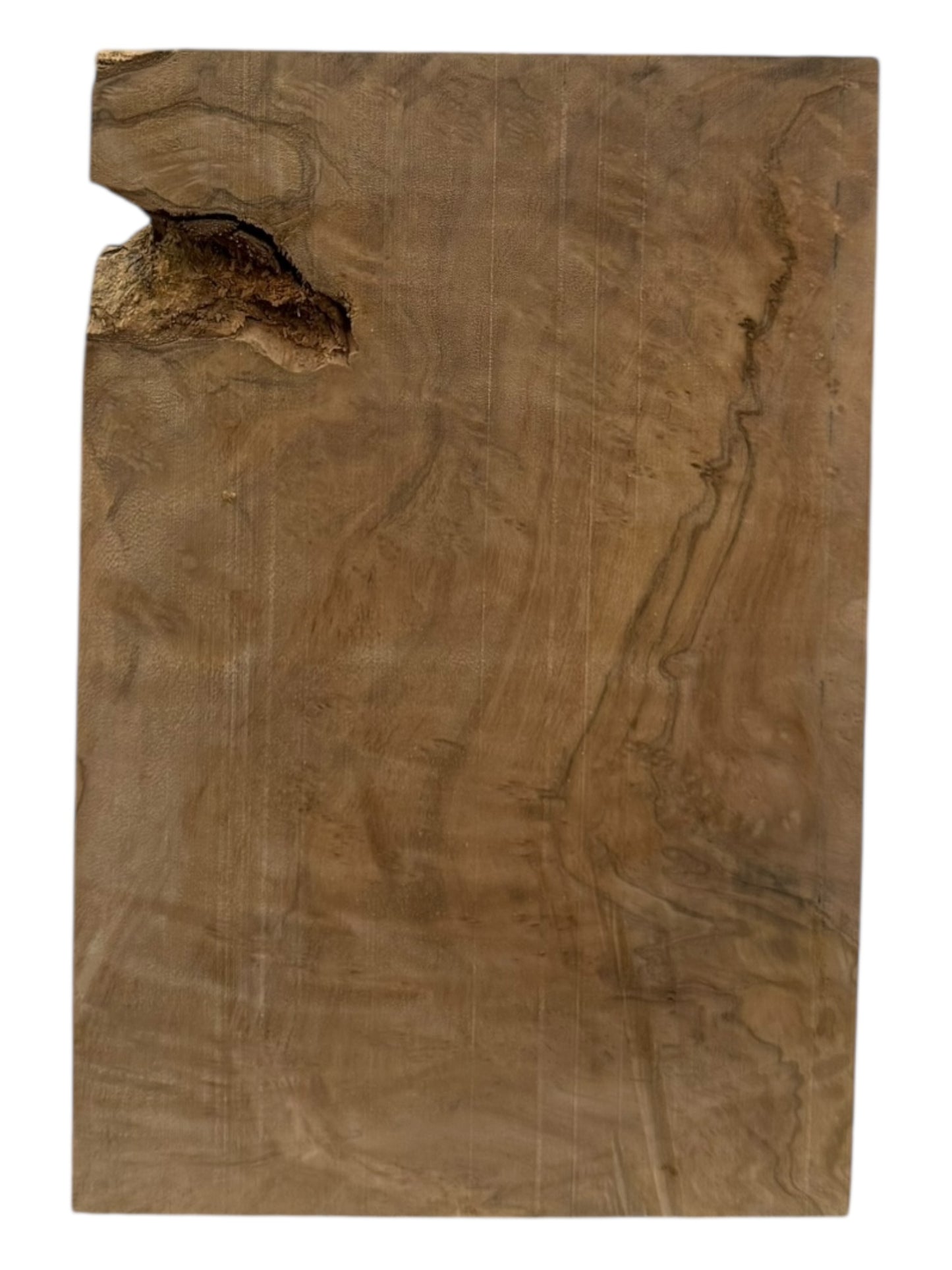 Olive Wood Highly Figured Blank 2 piece kit #215, #216