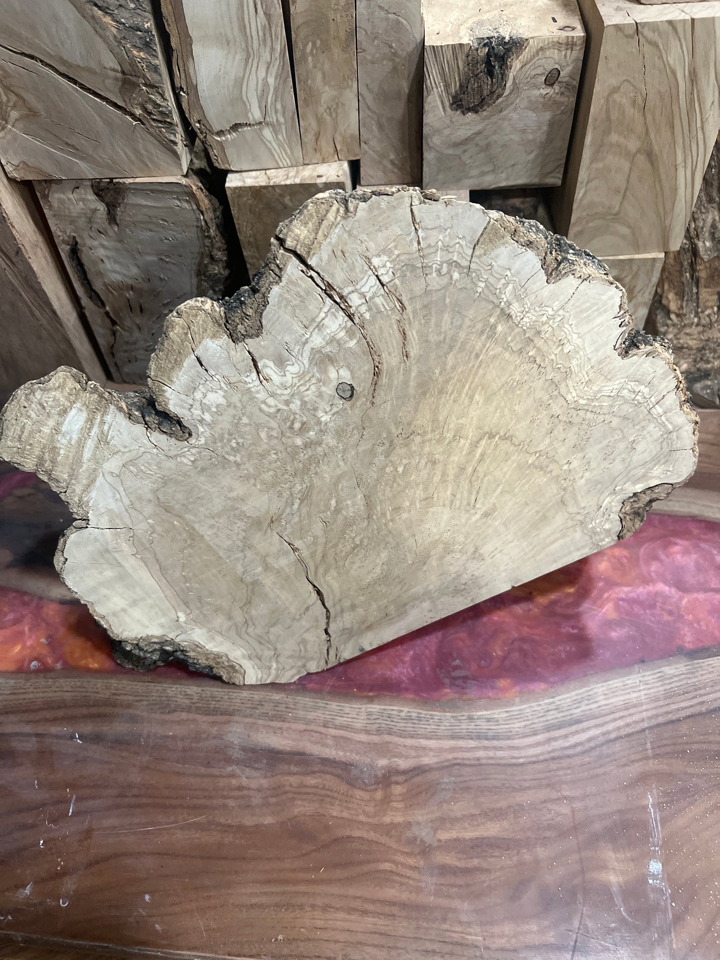 Stunning olive wood burl piece #983