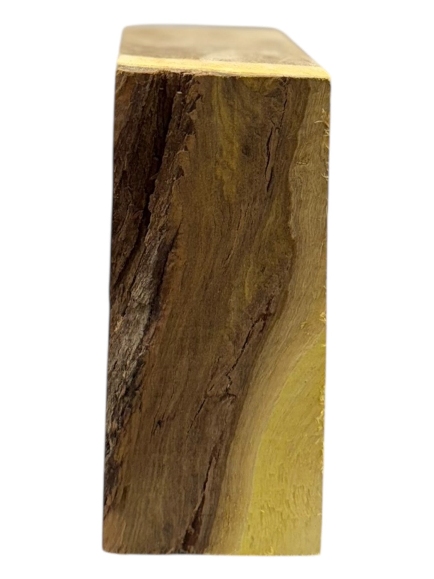 Mesquite Bowl Blank 2 piece set #200, #201