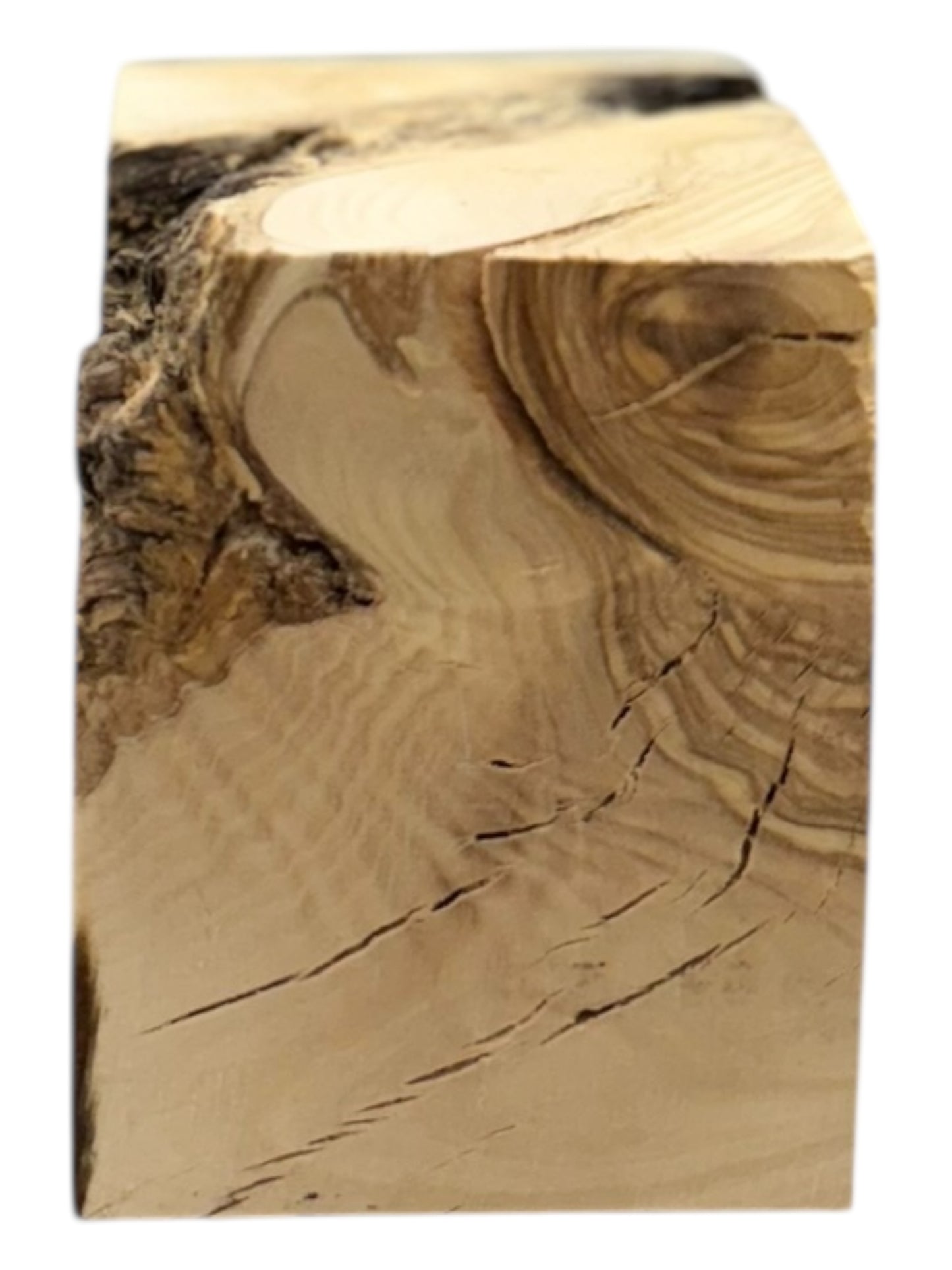 Olive Wood Turning Blank 2 Piece Set. 016, O17