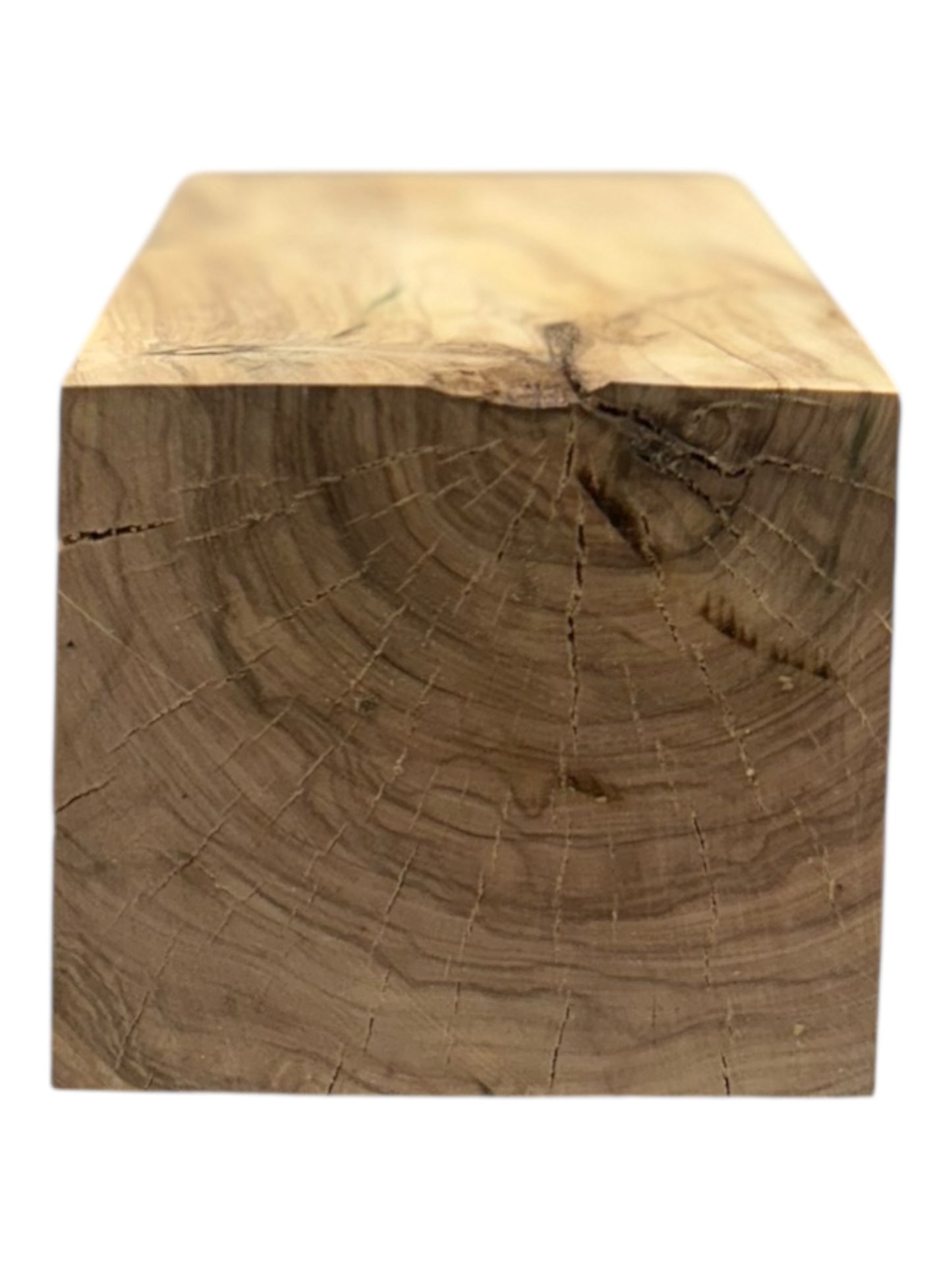 Olive Wood Bowl Turning Blank #211