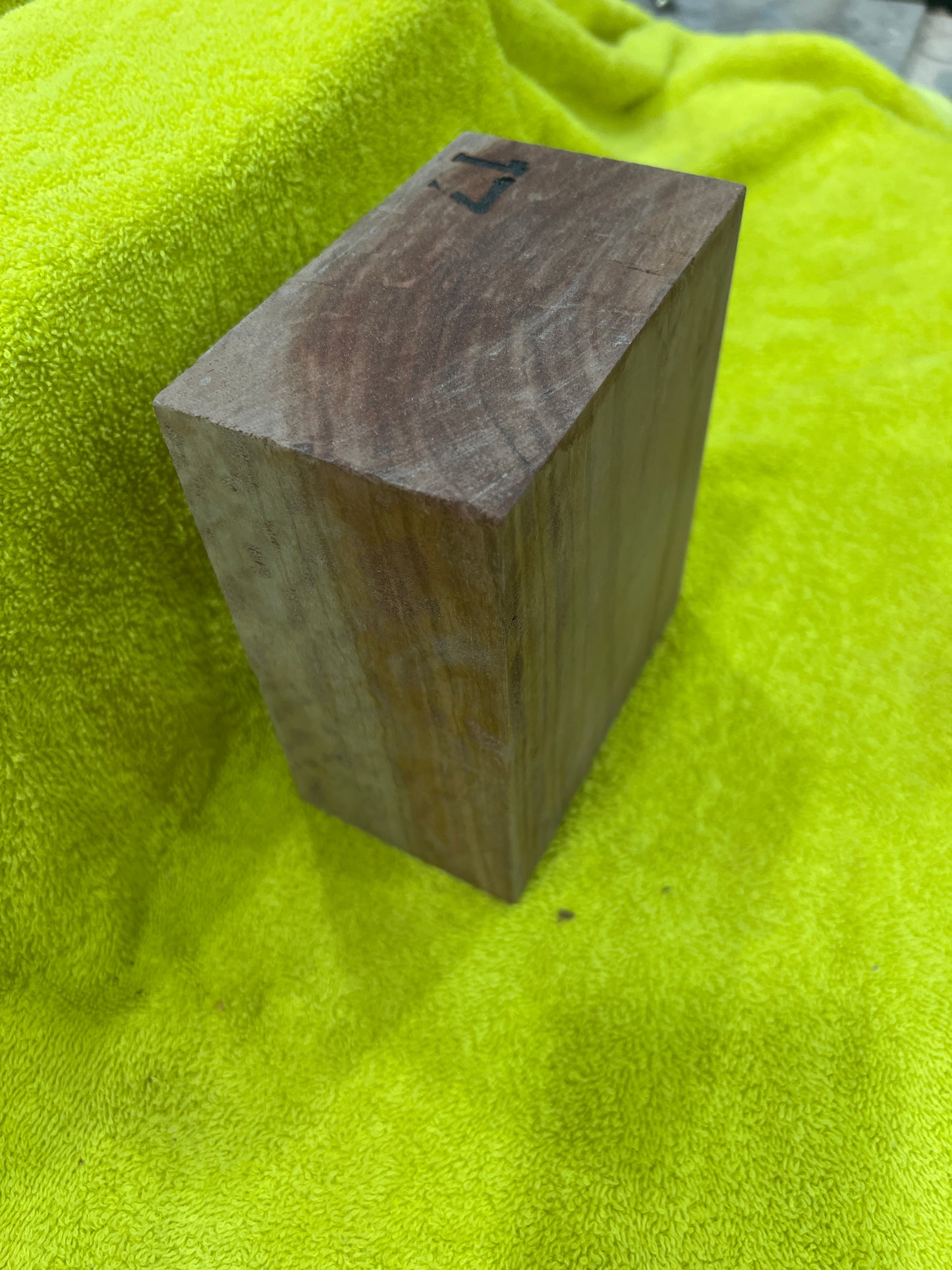 Eucalyptus bowl blank E2