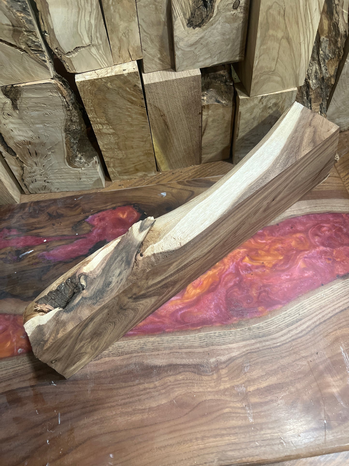 Beautiful Acacia 16x4x4” #986
