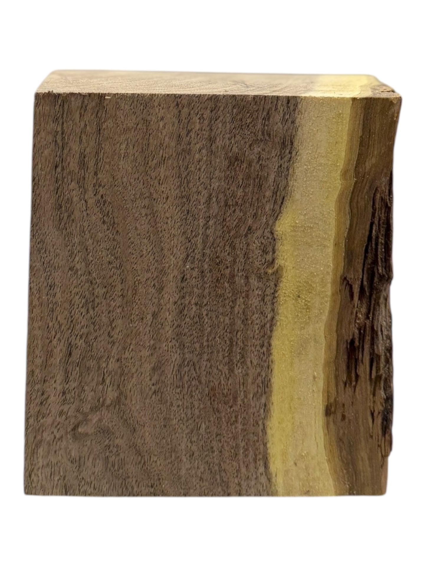 Mesquite Bowl Blank 2 piece set #200, #201
