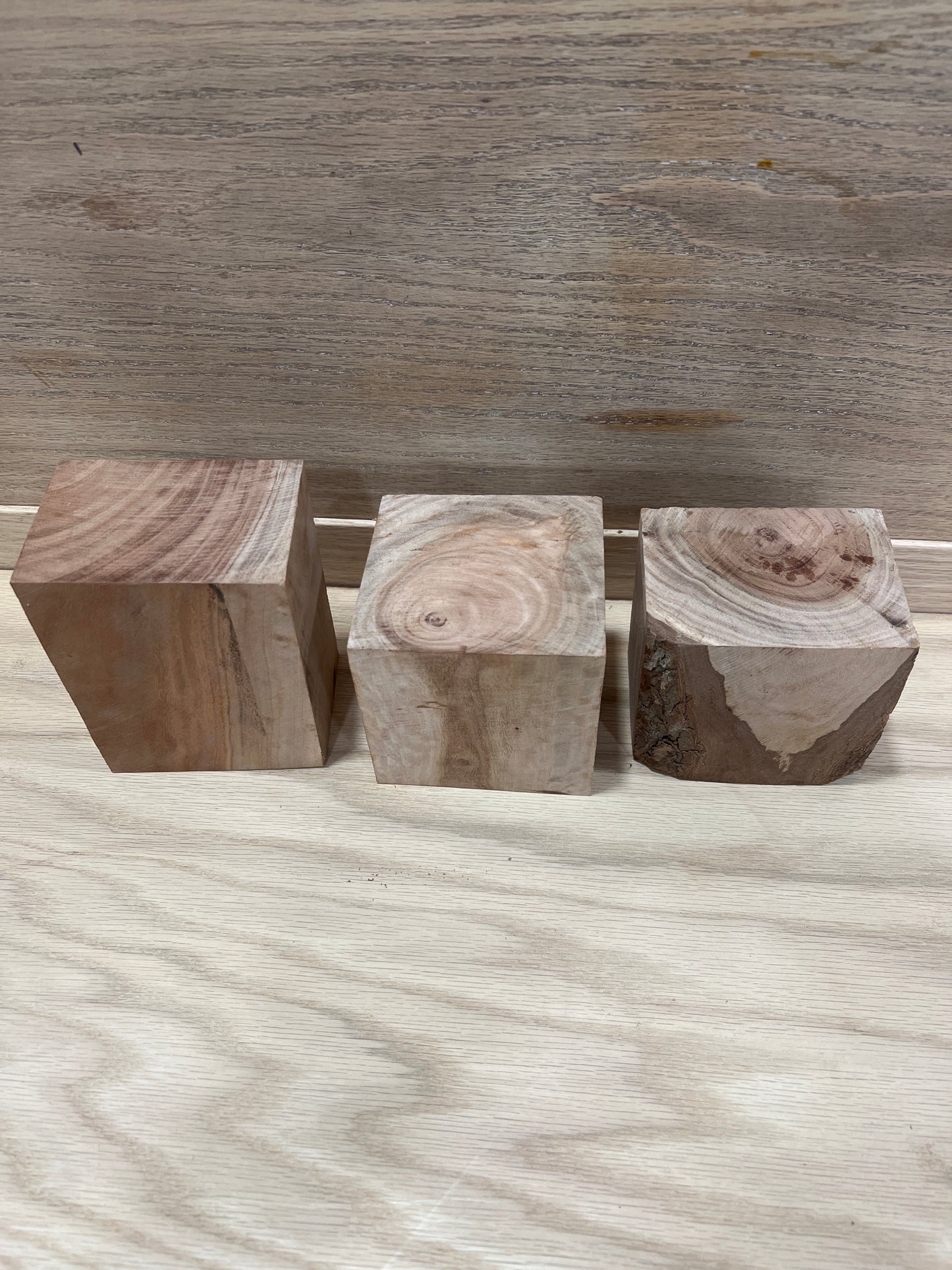 3 piece eucalyptus turning blank 589,590,591
