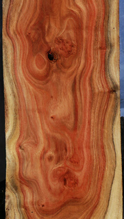 Carob Pen Blanks