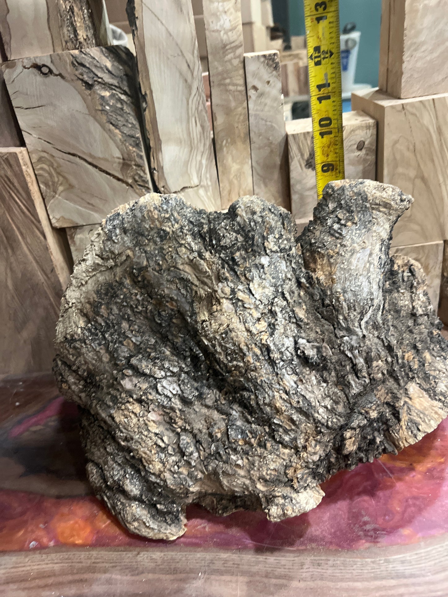 Stunning olive wood burl piece #983