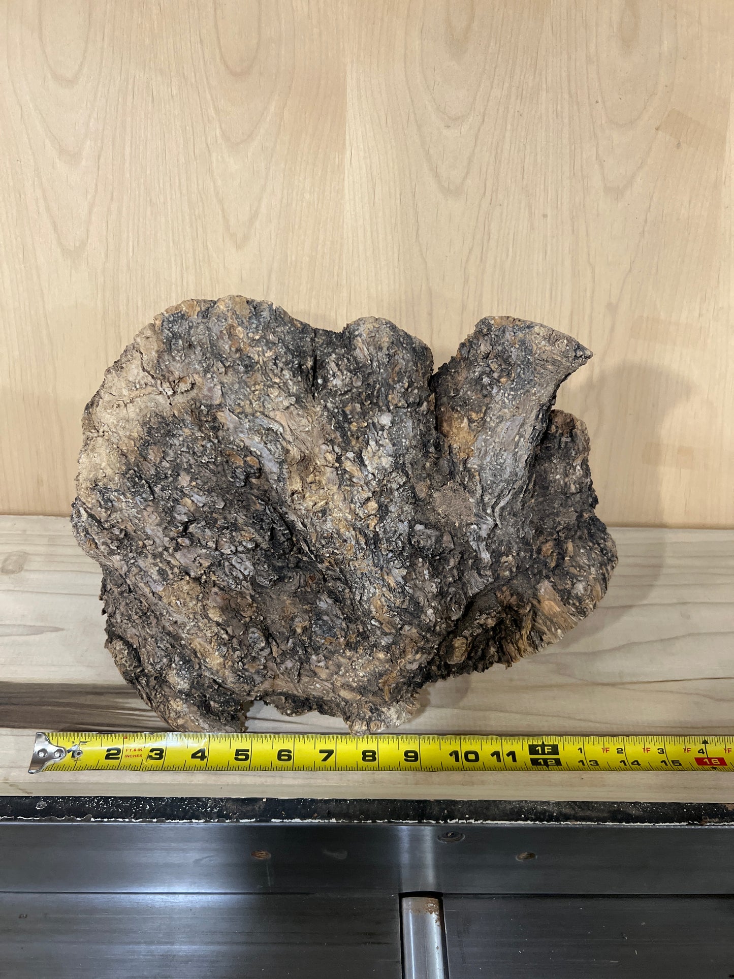 Big Olive Wood Burl