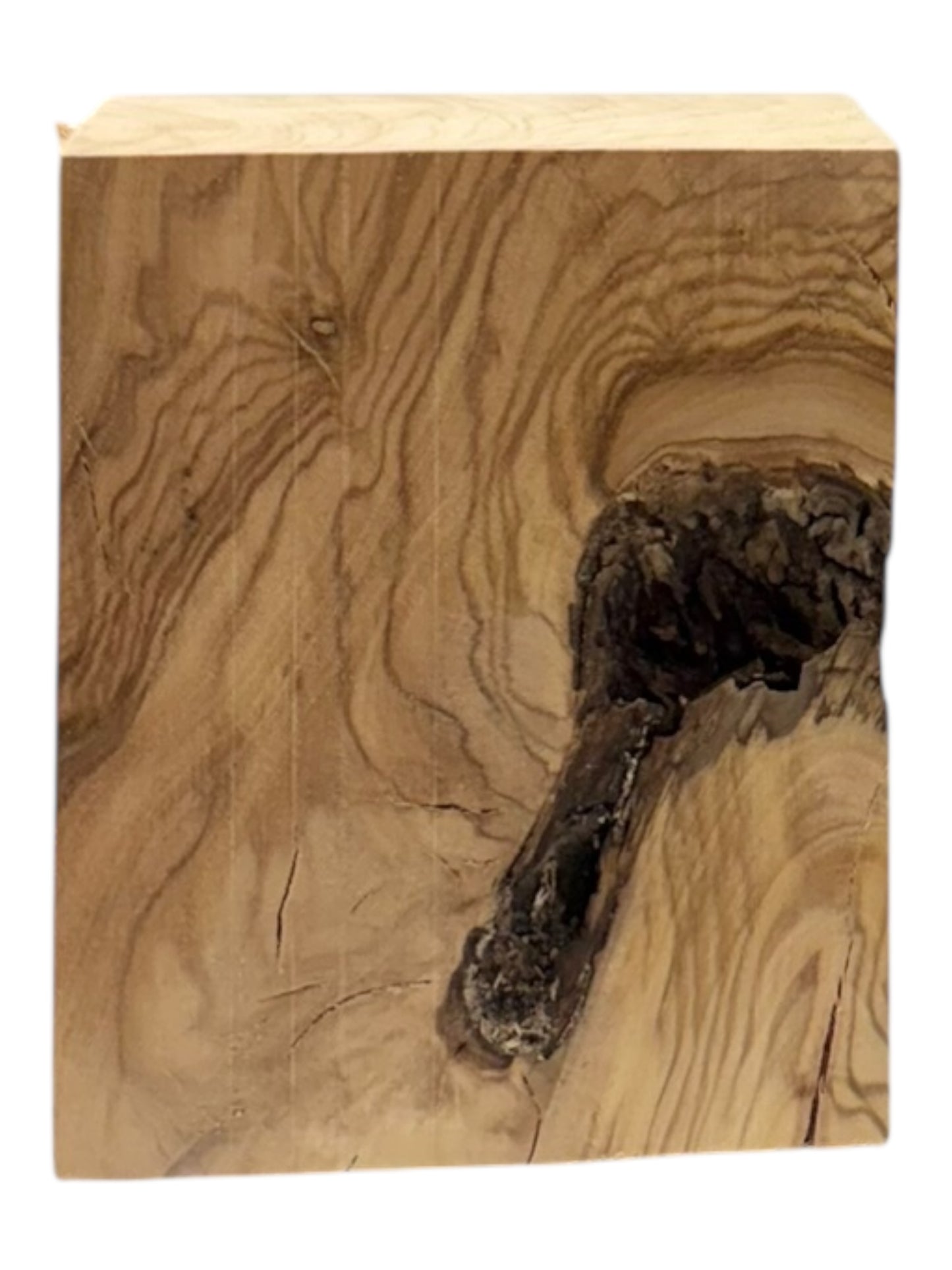 Olive Wood Turning Blank 2 Piece Set. #220, #221