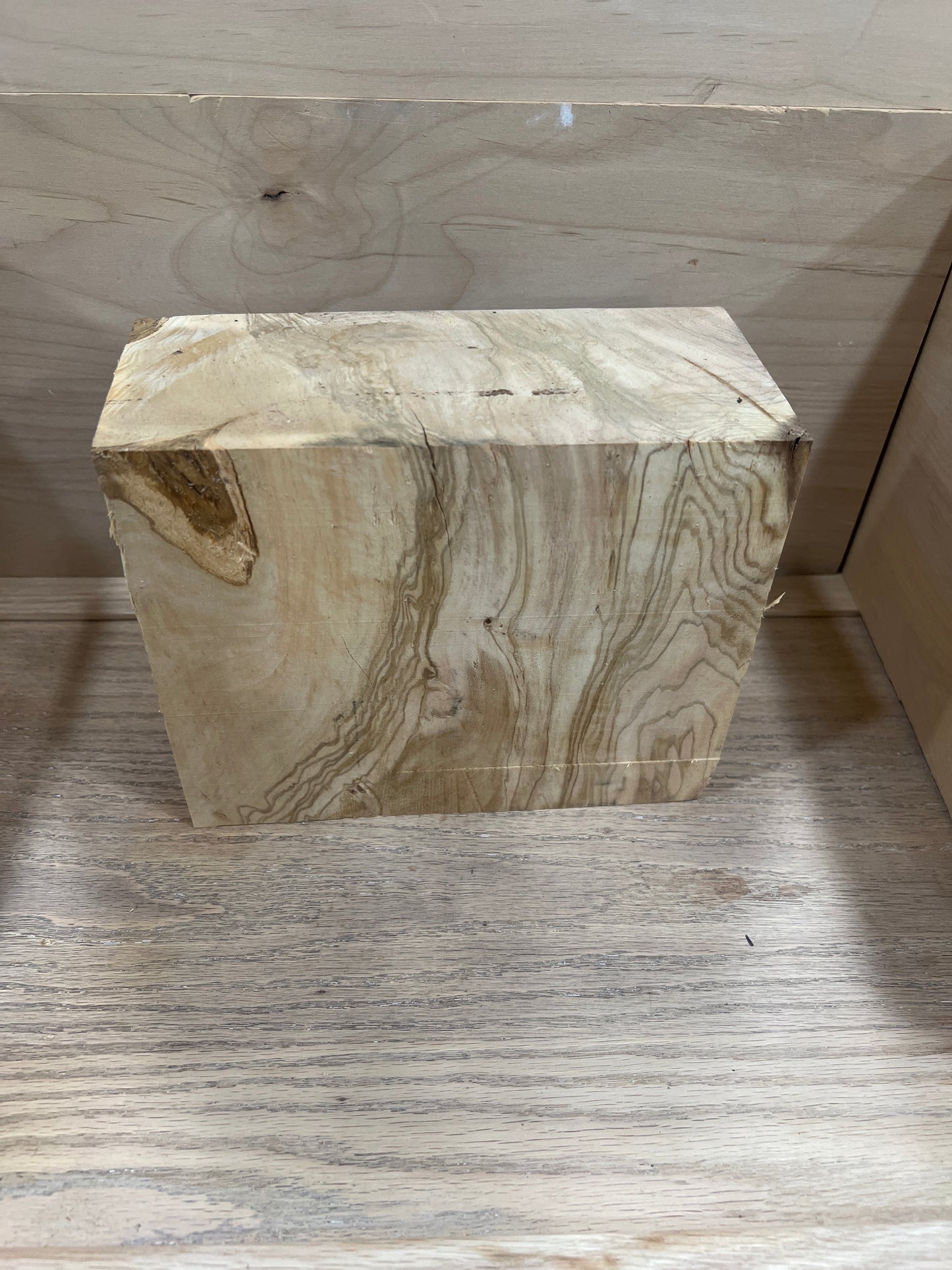 Olive wood bowl blank 09