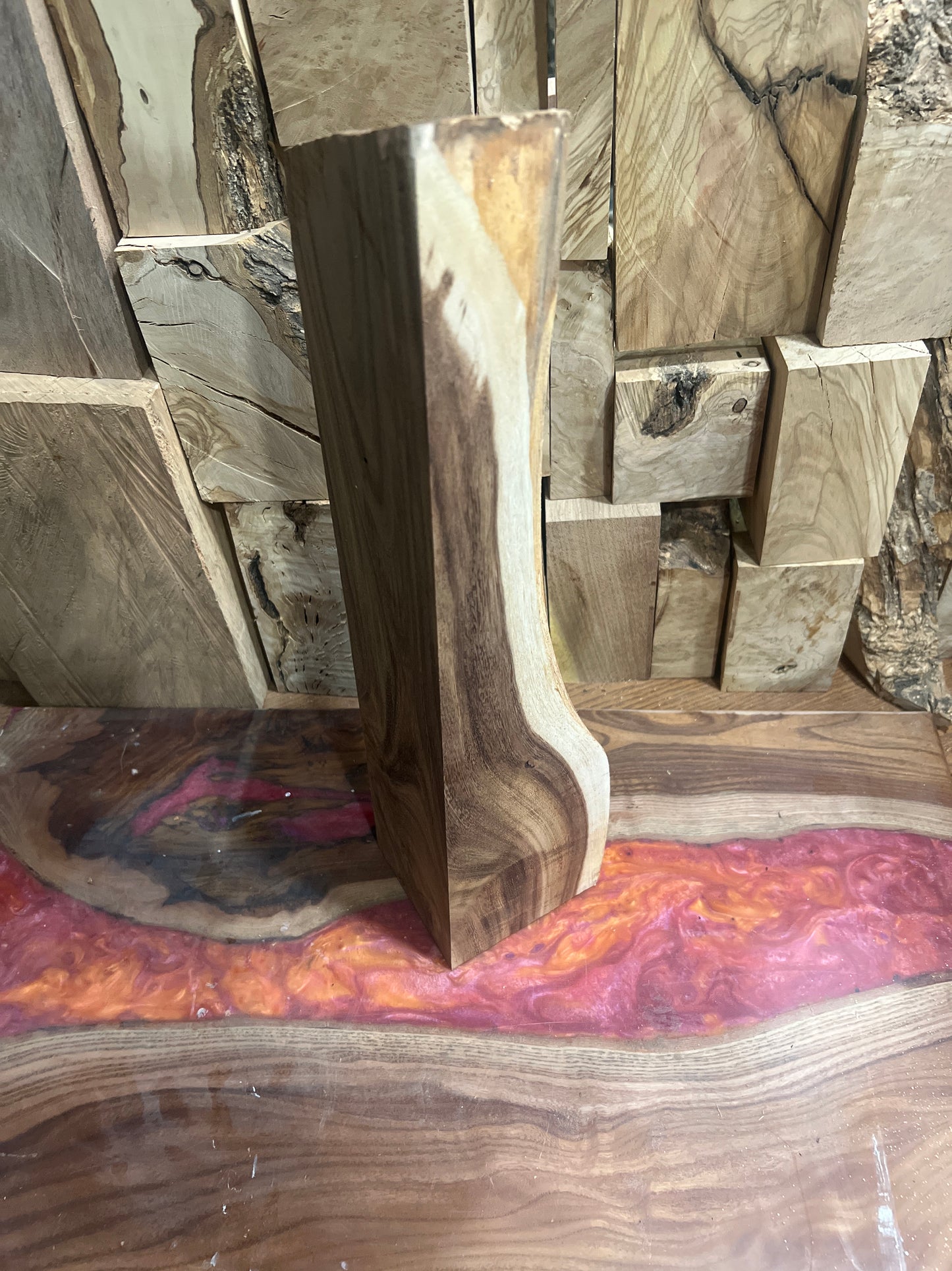 Beautiful Acacia 16x4x4” #986