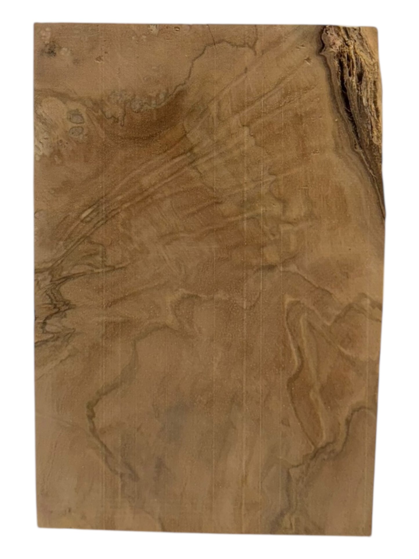 Olive Wood Highly Figured Blank 2 piece kit #215, #216