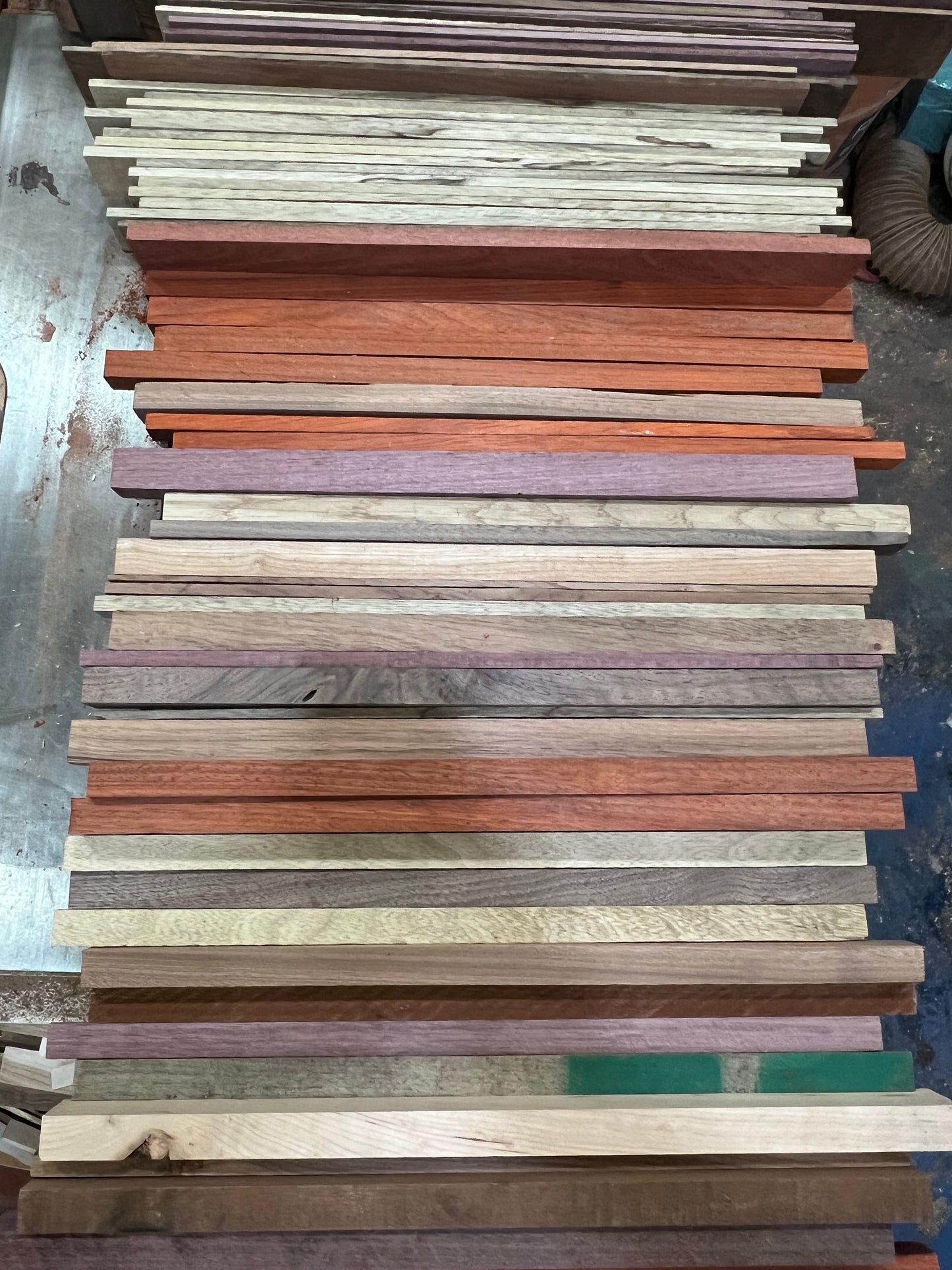 Exotic/Domestic cut off boxes.