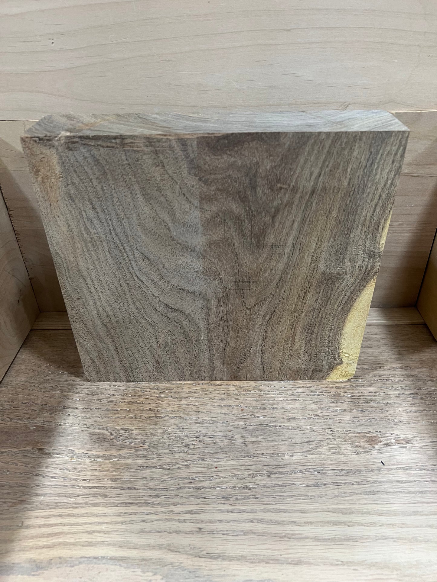 Mesquite bowl blank M16