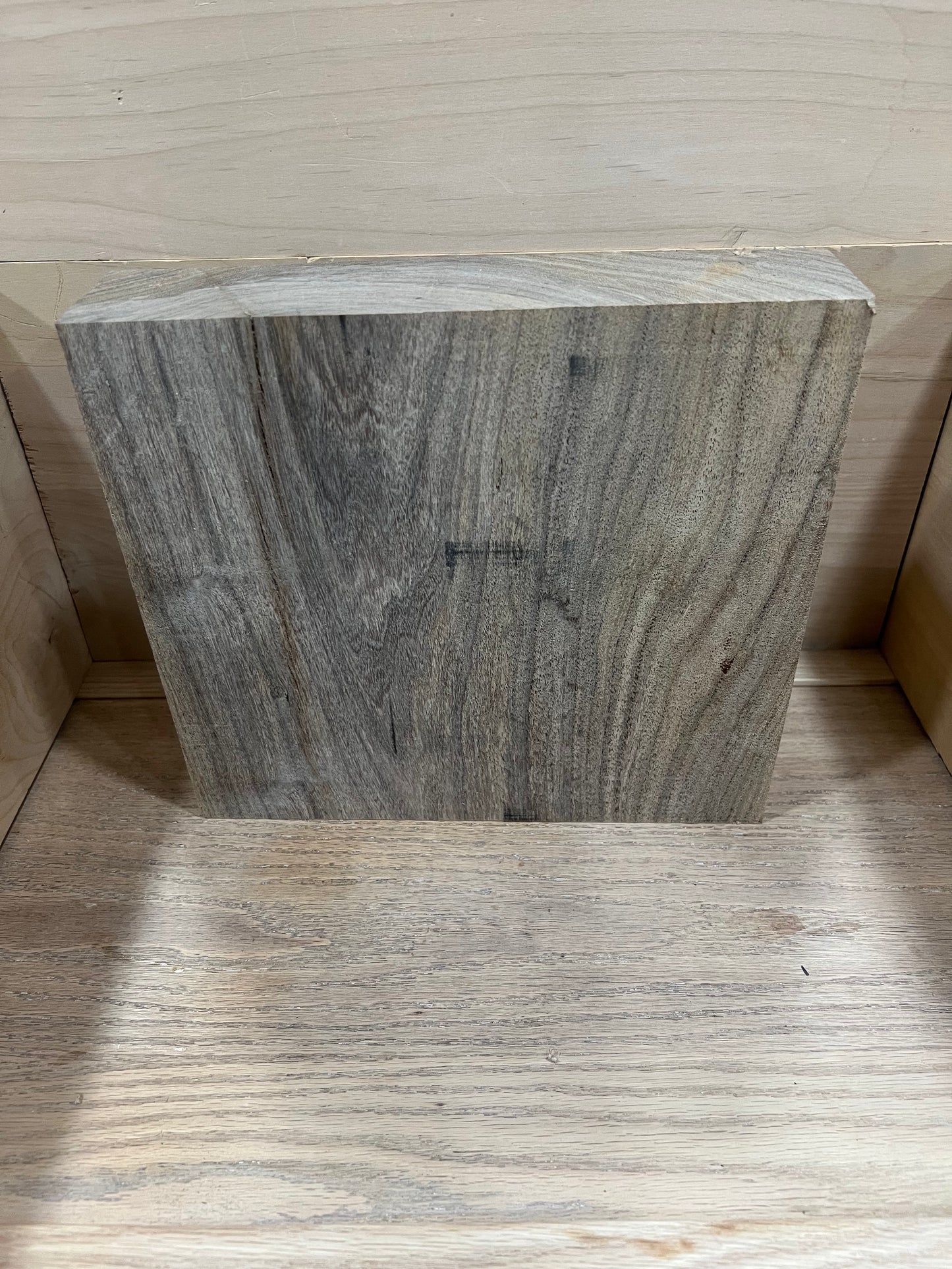 Mesquite bowl blank M16