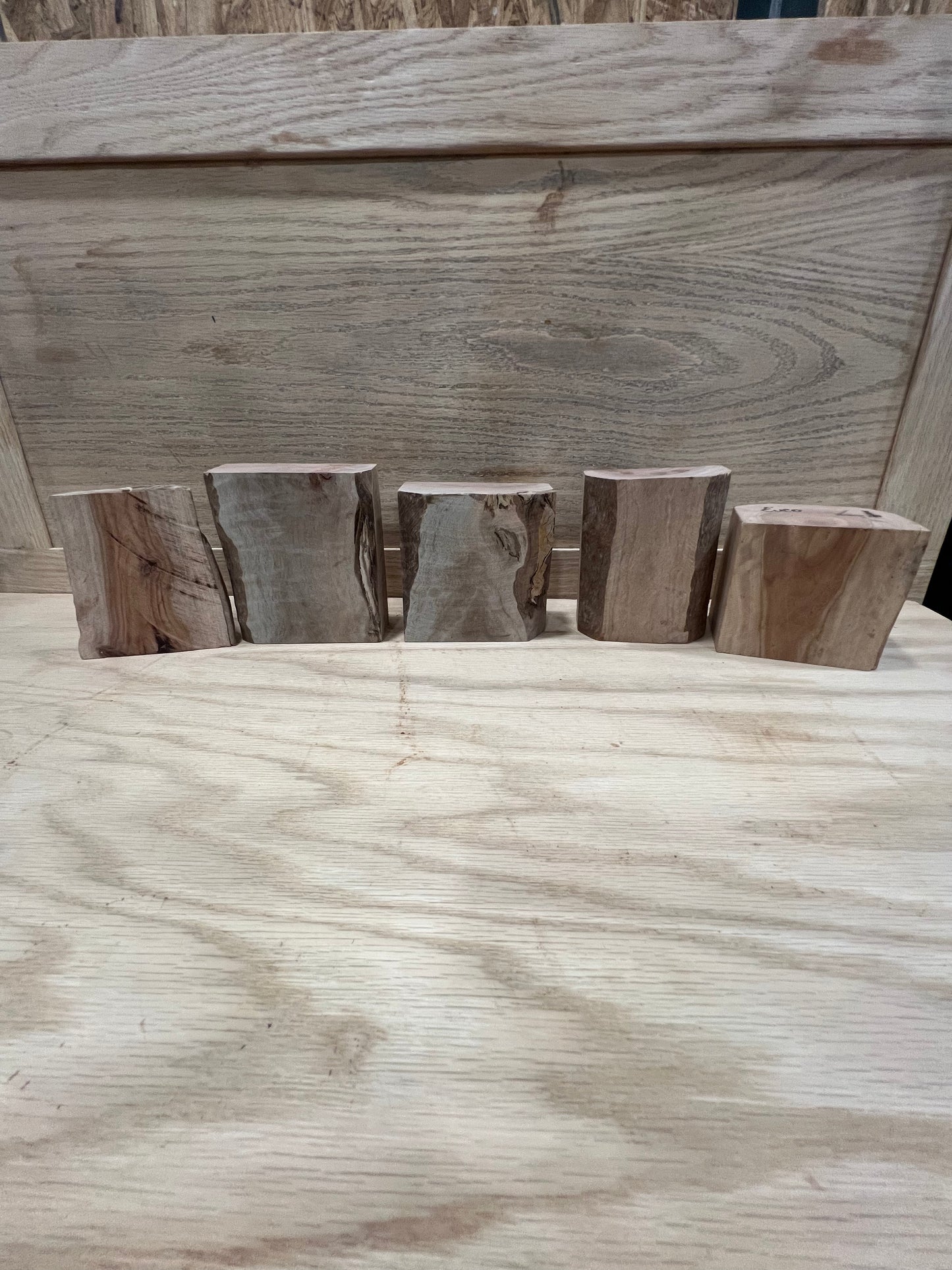 5 piece set of eucalyptus #771, 772, 773, 774, 775