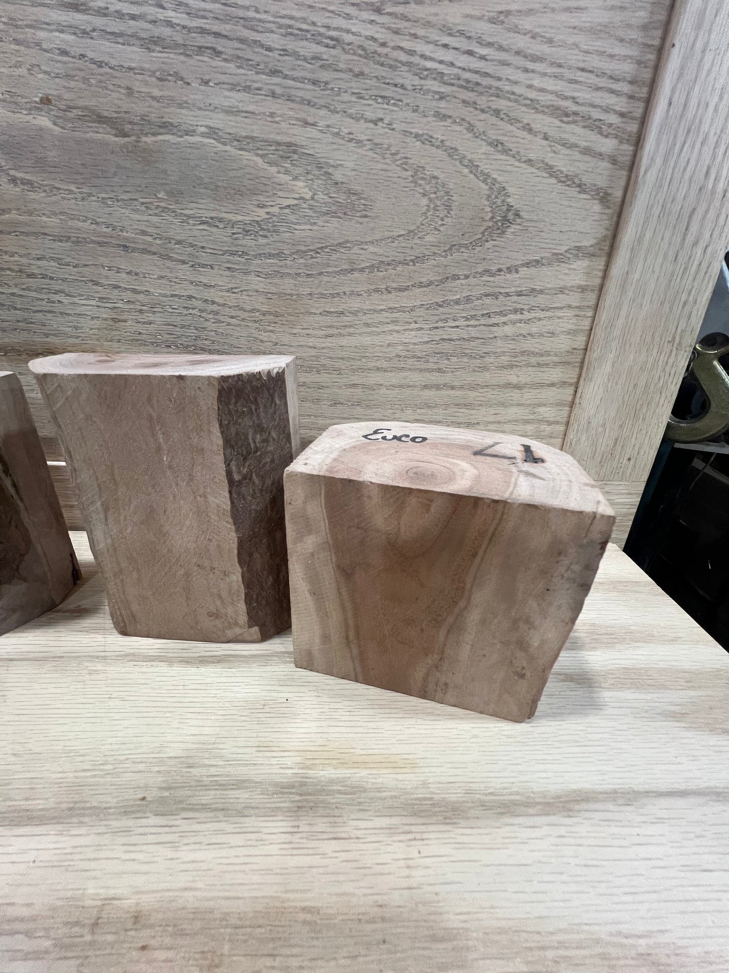5 piece set of eucalyptus #771, 772, 773, 774, 775