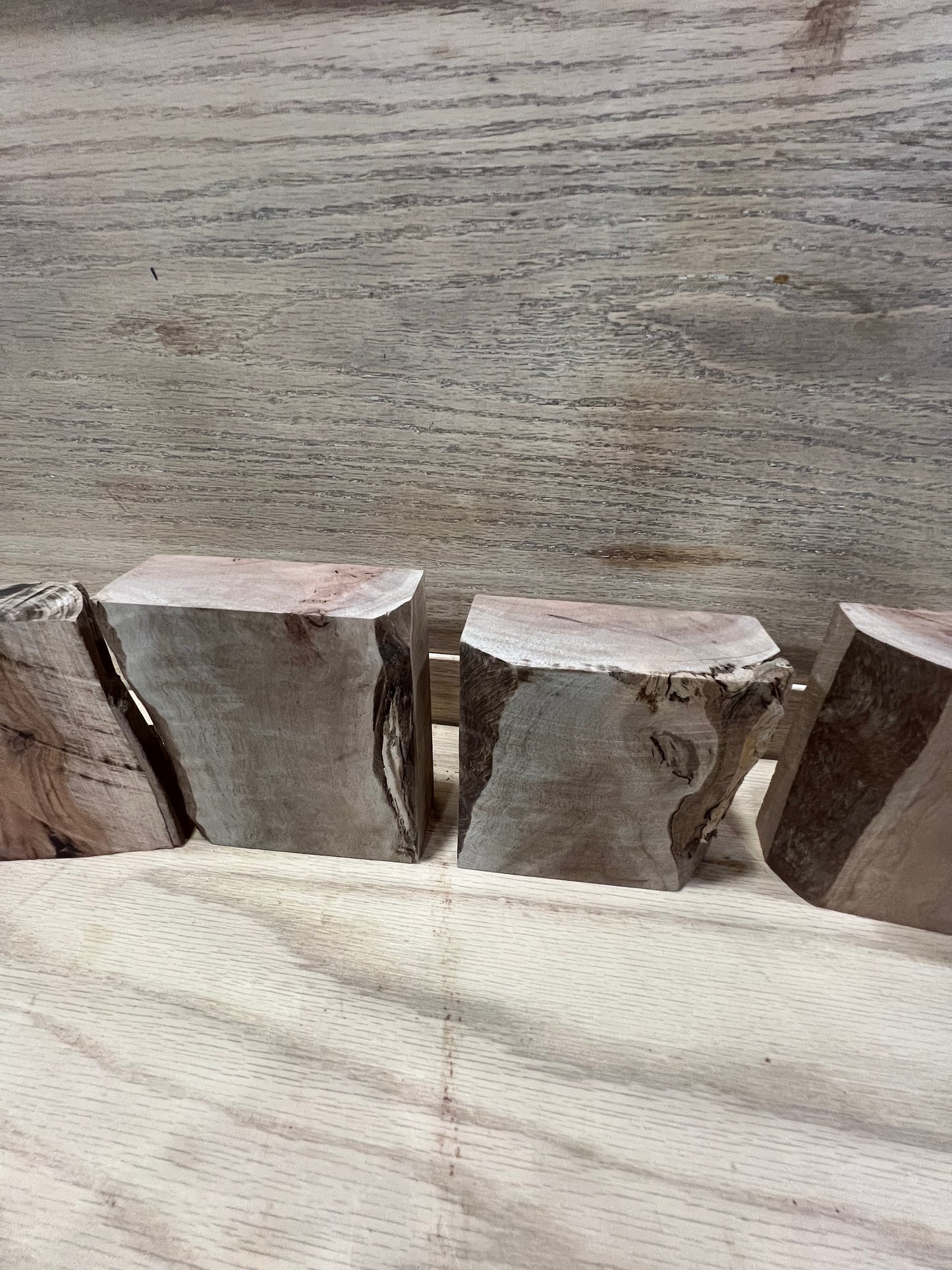 5 piece set of eucalyptus #771, 772, 773, 774, 775