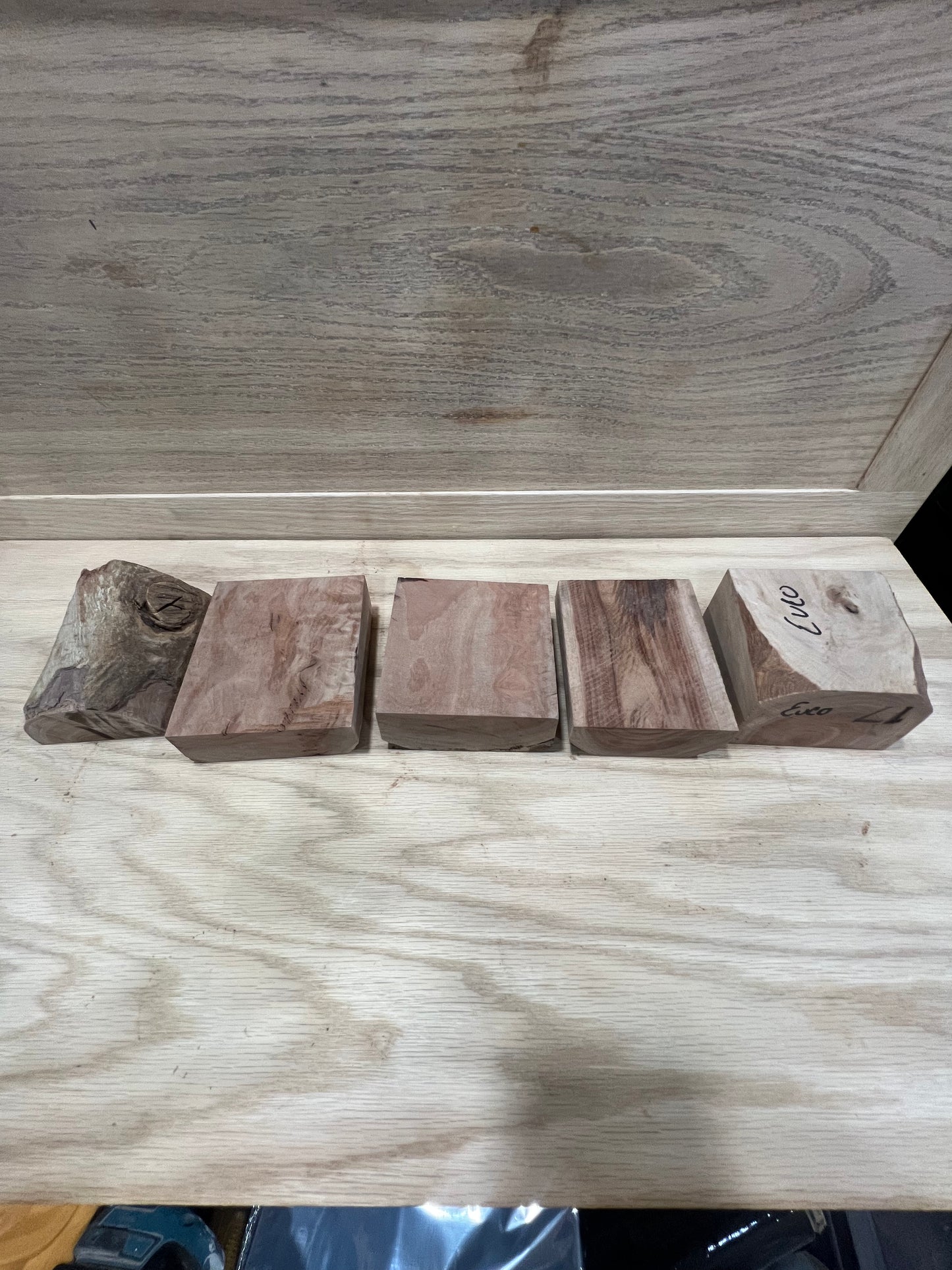 5 piece set of eucalyptus #771, 772, 773, 774, 775