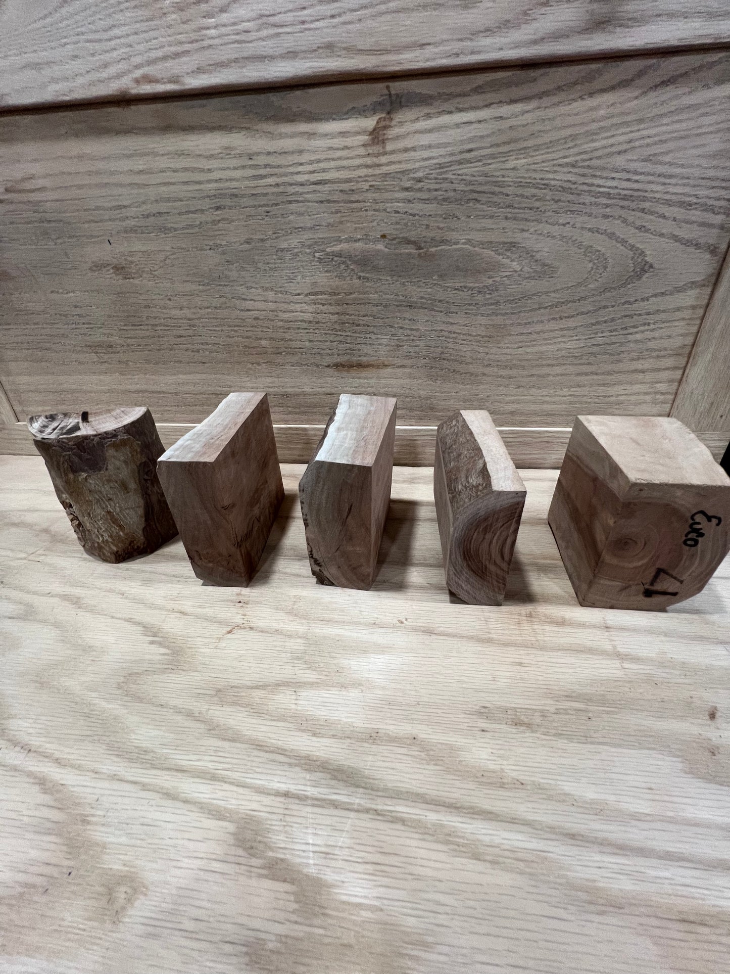 5 piece set of eucalyptus #771, 772, 773, 774, 775