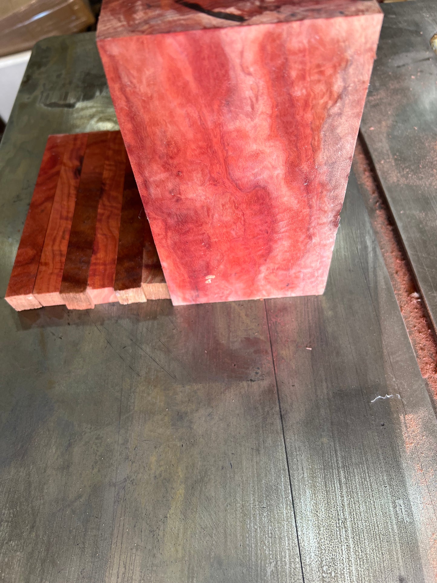 Eucalyptus clearance sale