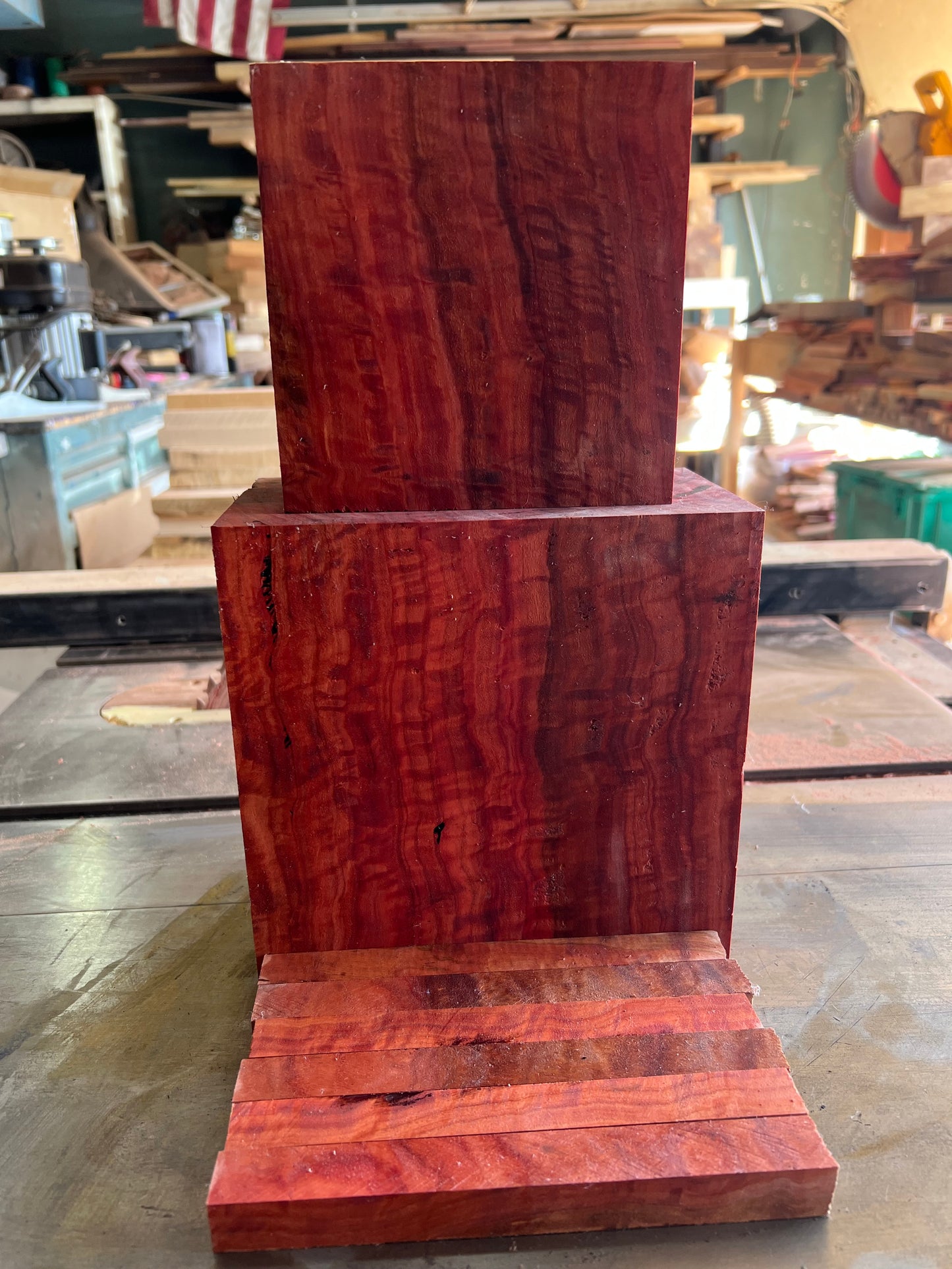 Eucalyptus clearance sale