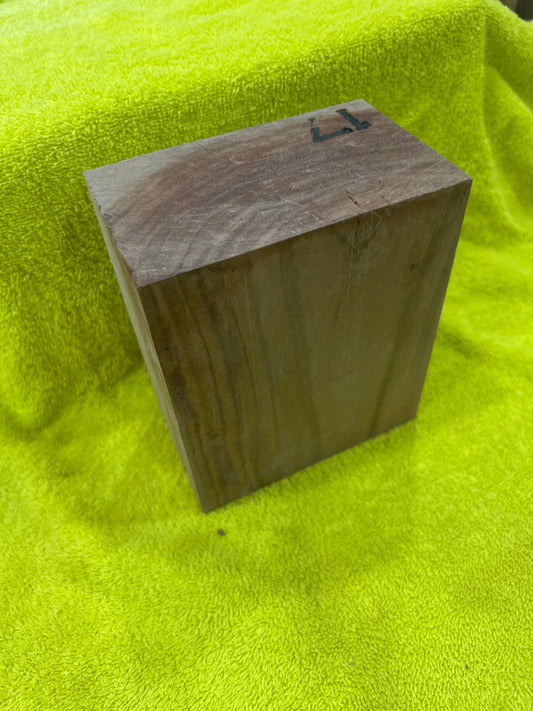 Eucalyptus bowl blank E2