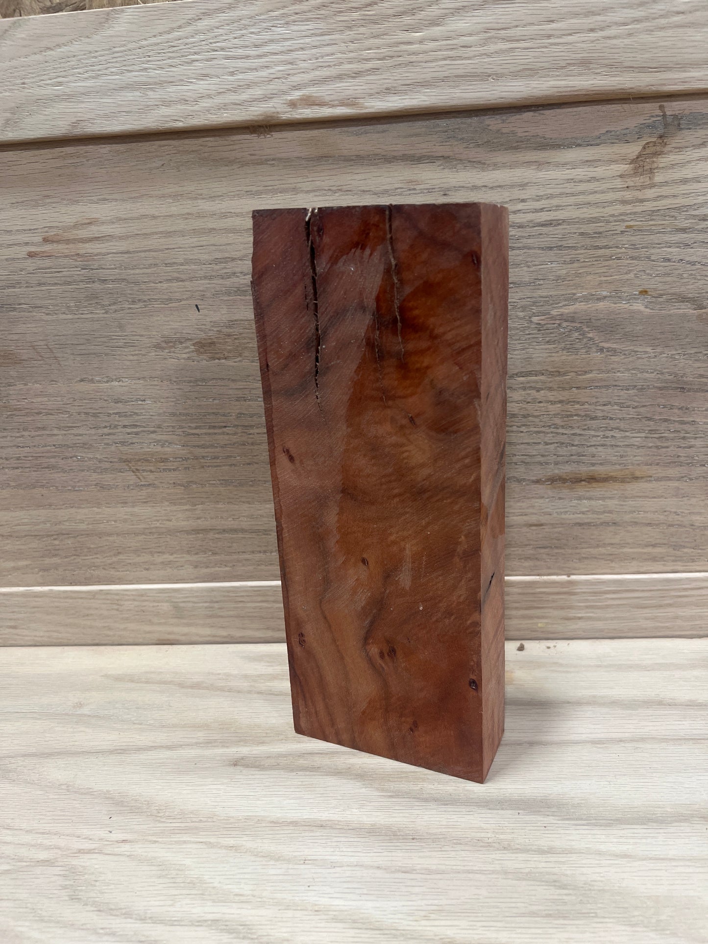 Stunning carob 594