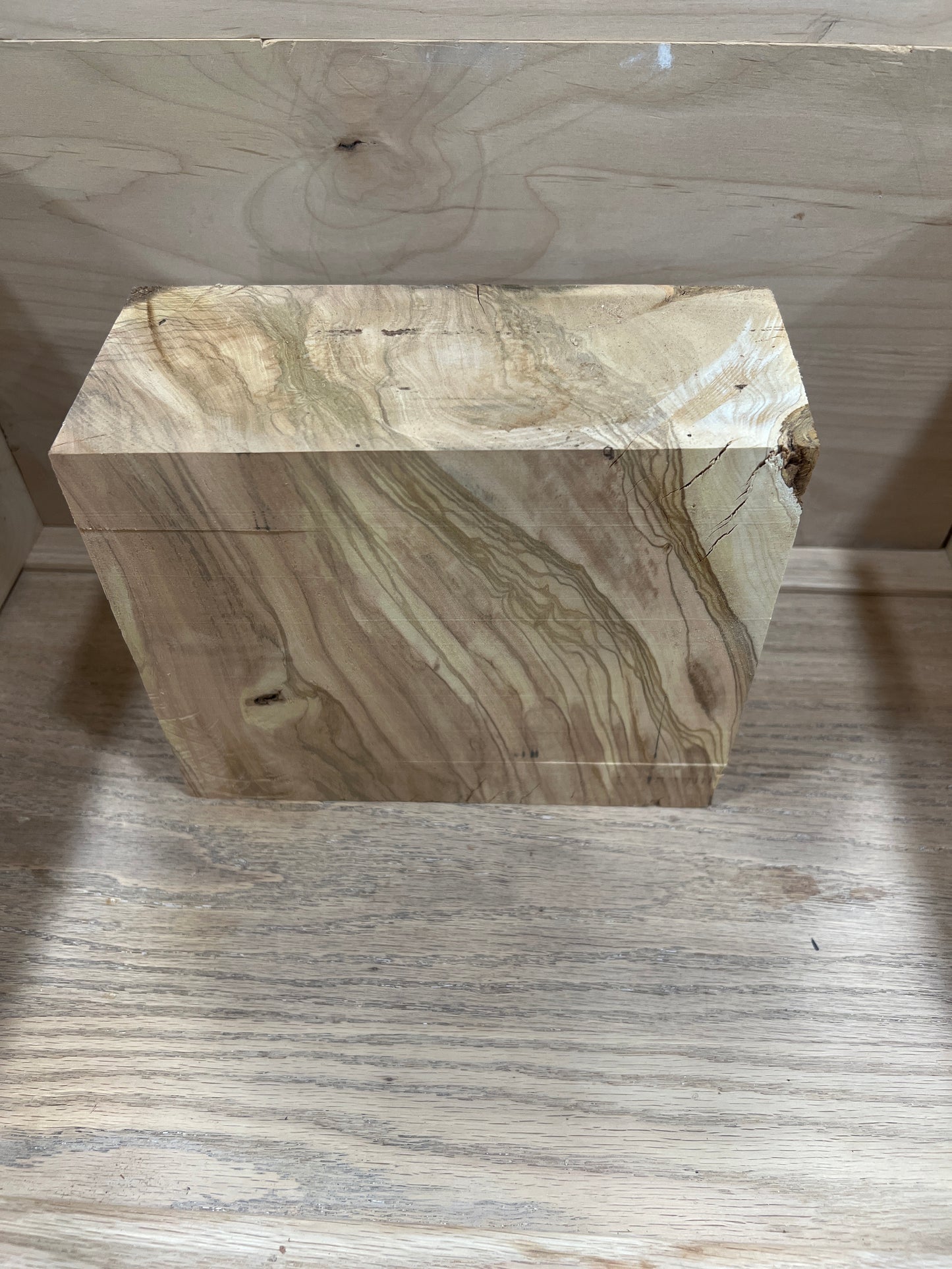 Olive wood bowl blank 09