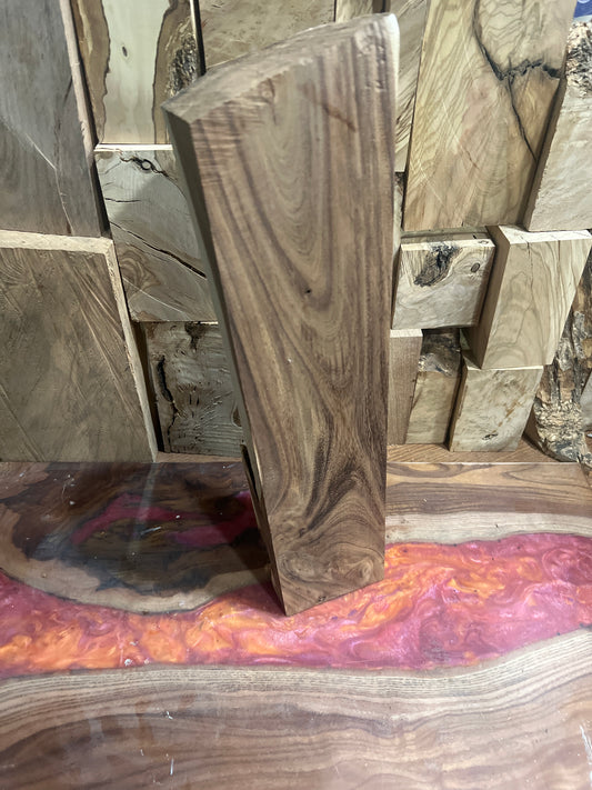 Beautiful Acacia 16x4x4” #986