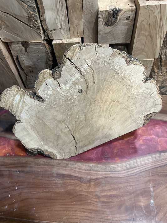 Stunning olive wood burl piece #983