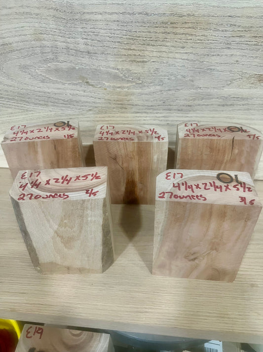 Eucalyptus bowl blank E17