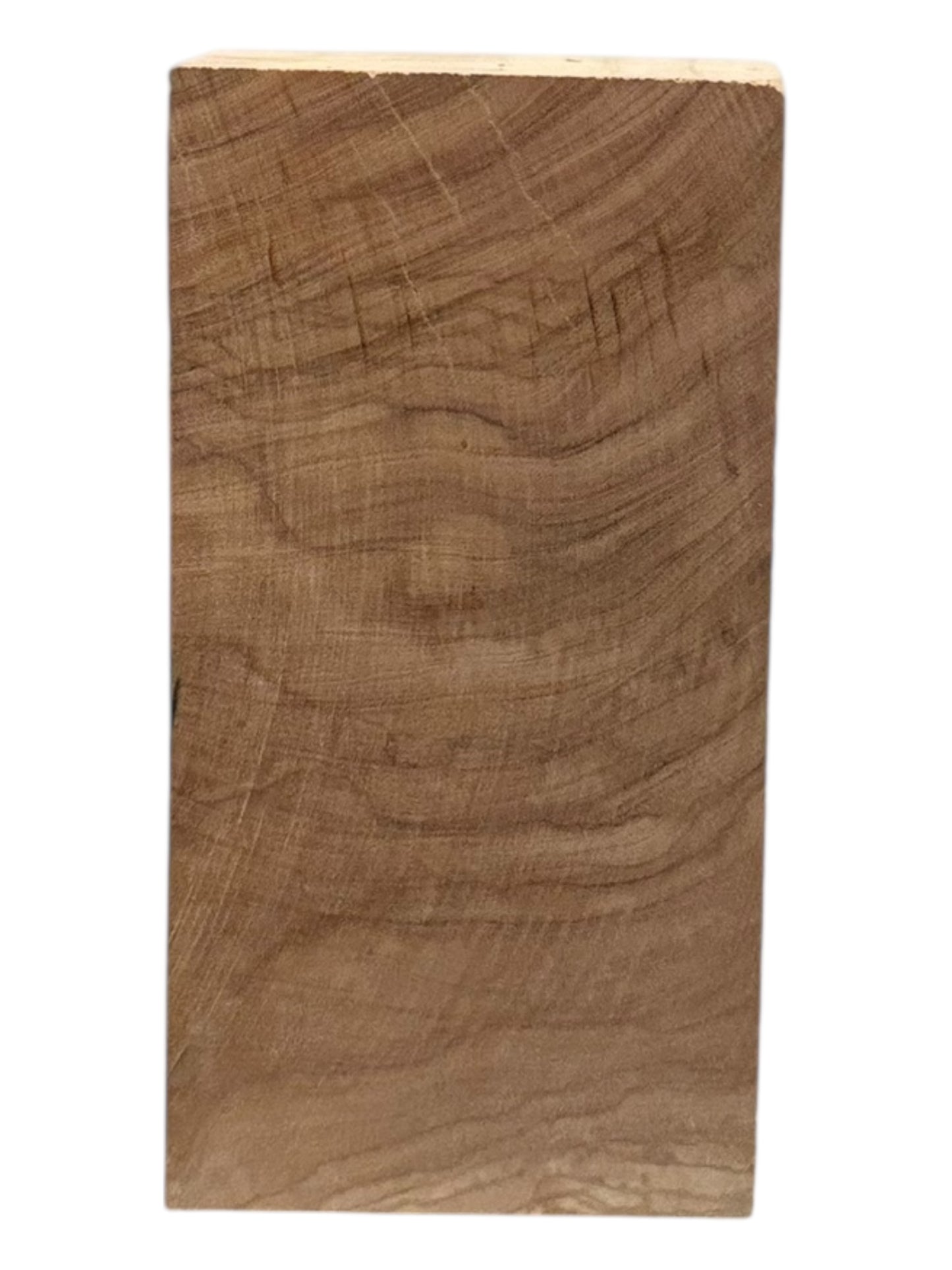 Olive Wood Turning Blank 2 Piece Set. #230, #231