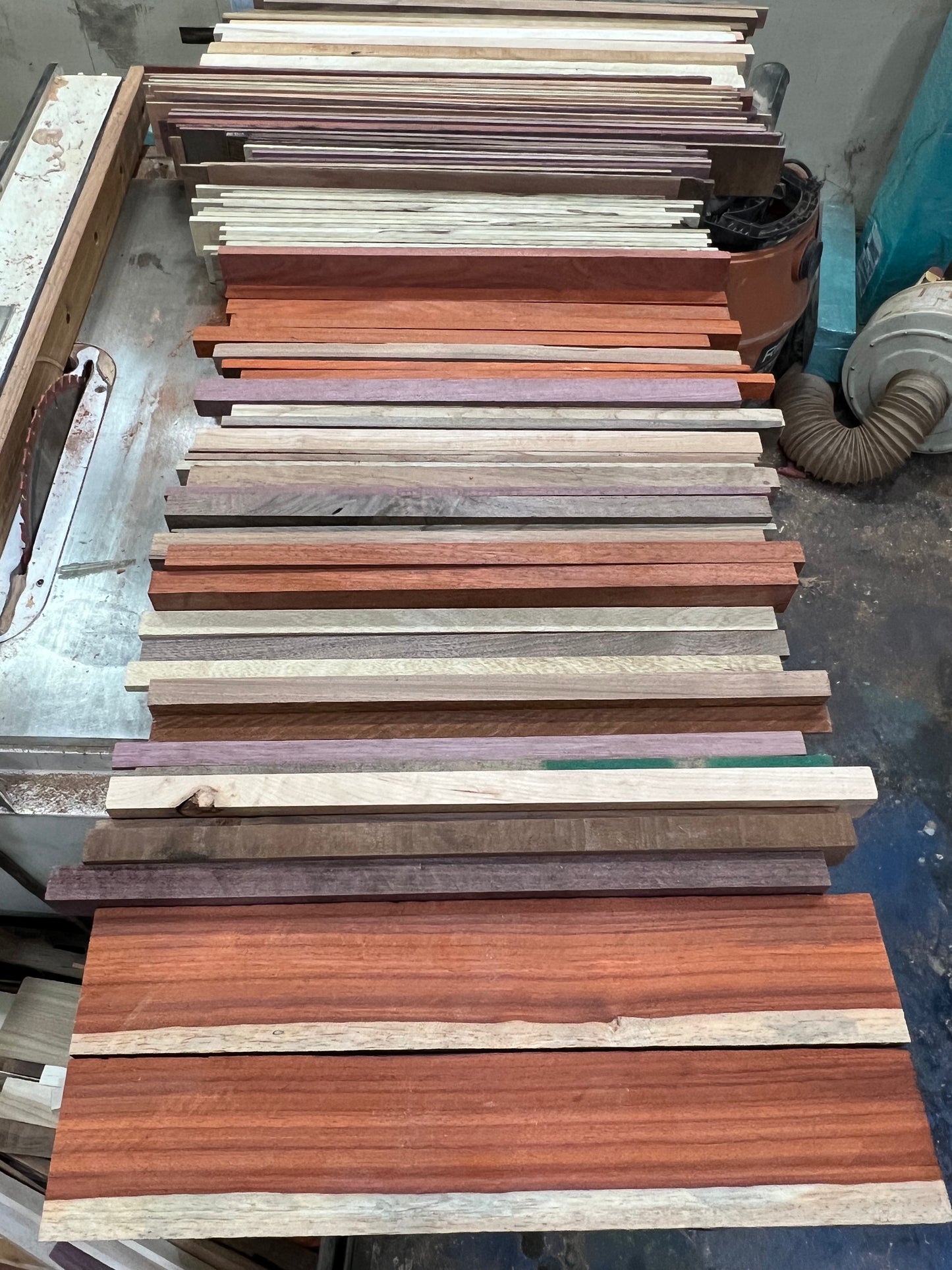 Exotic/Domestic cut off boxes.