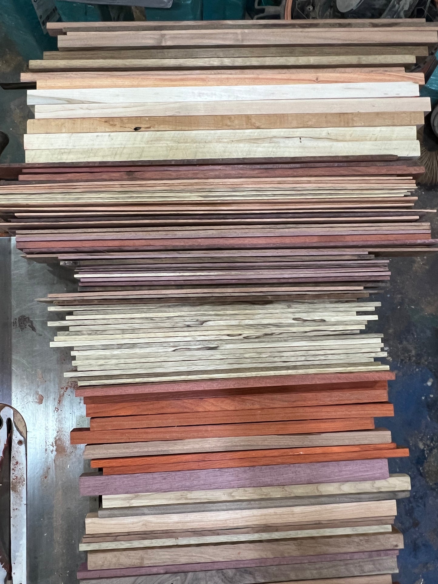 Exotic/Domestic cut off boxes.