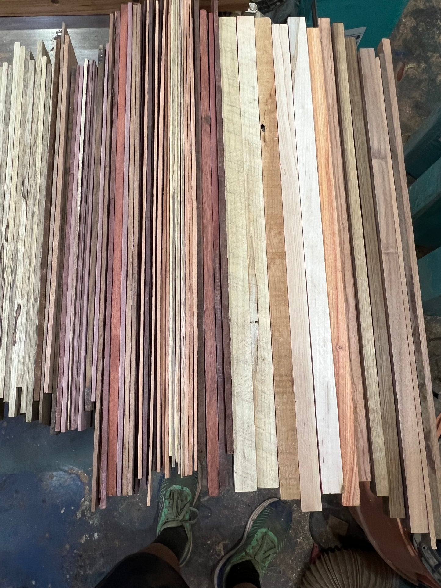 Exotic/Domestic cut off boxes.