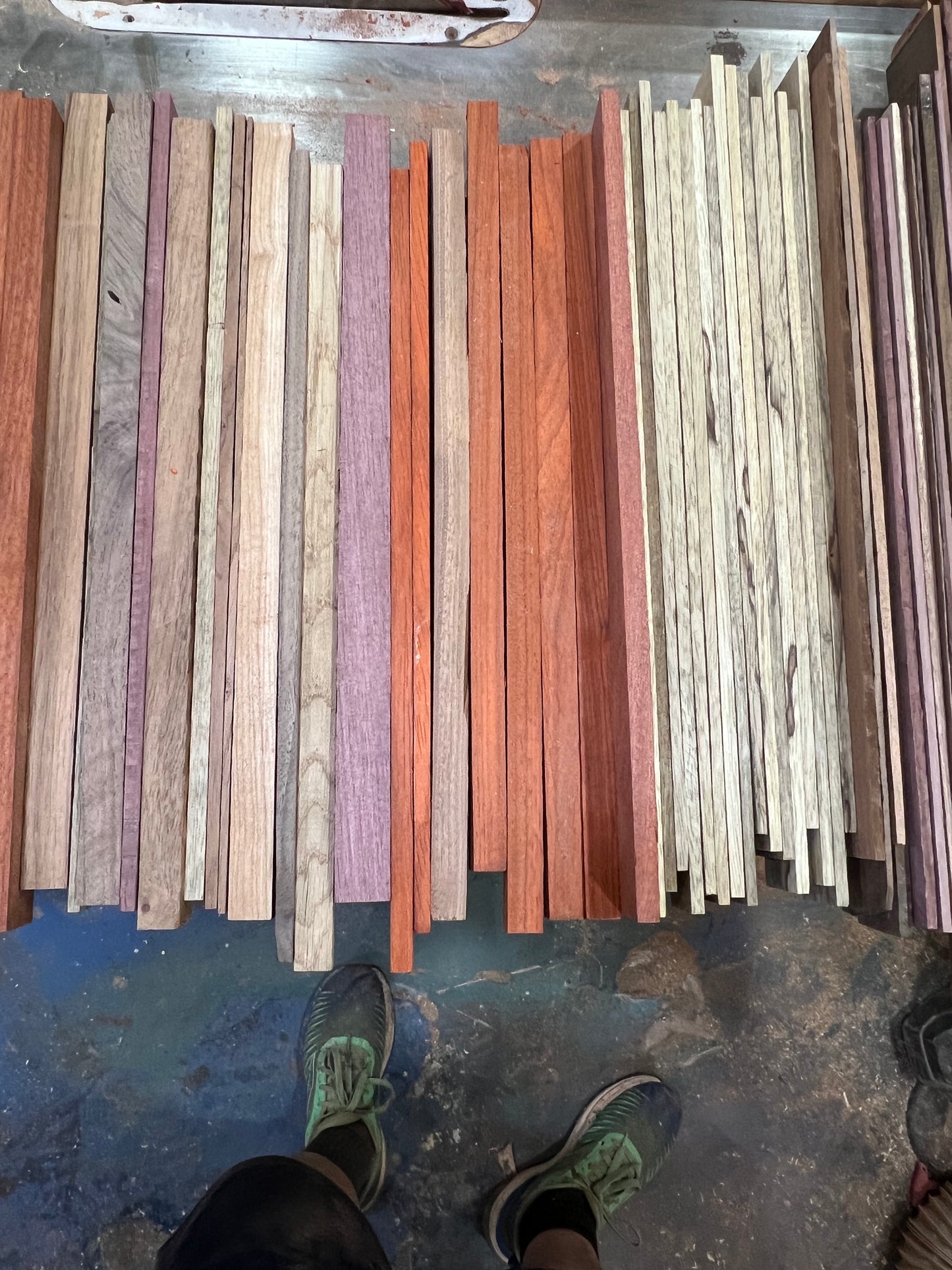 Exotic/Domestic cut off boxes.