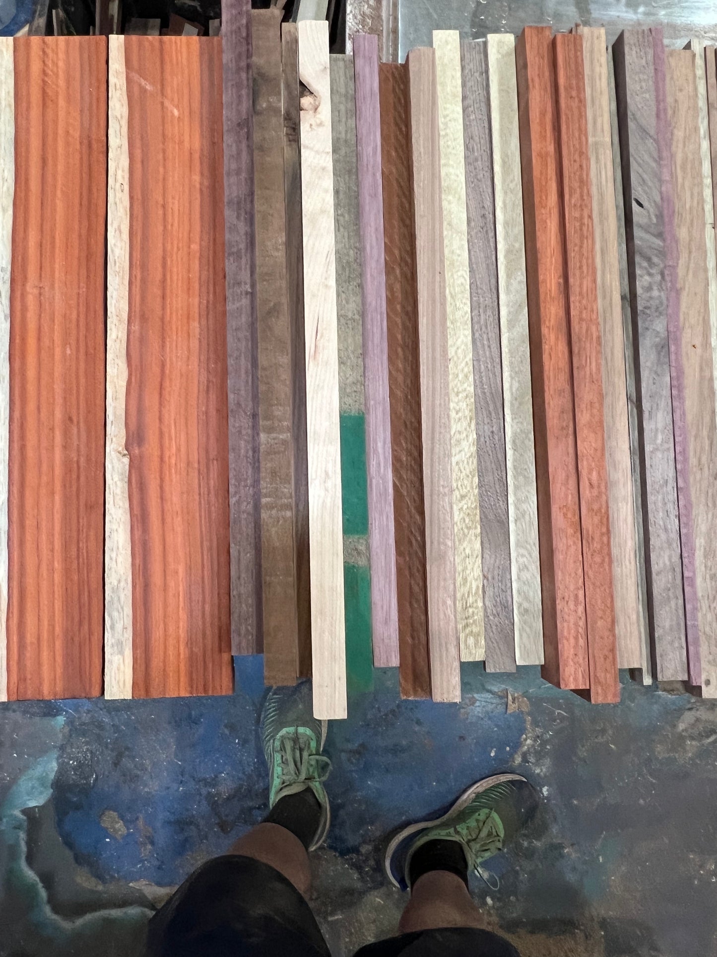 Exotic/Domestic cut off boxes.