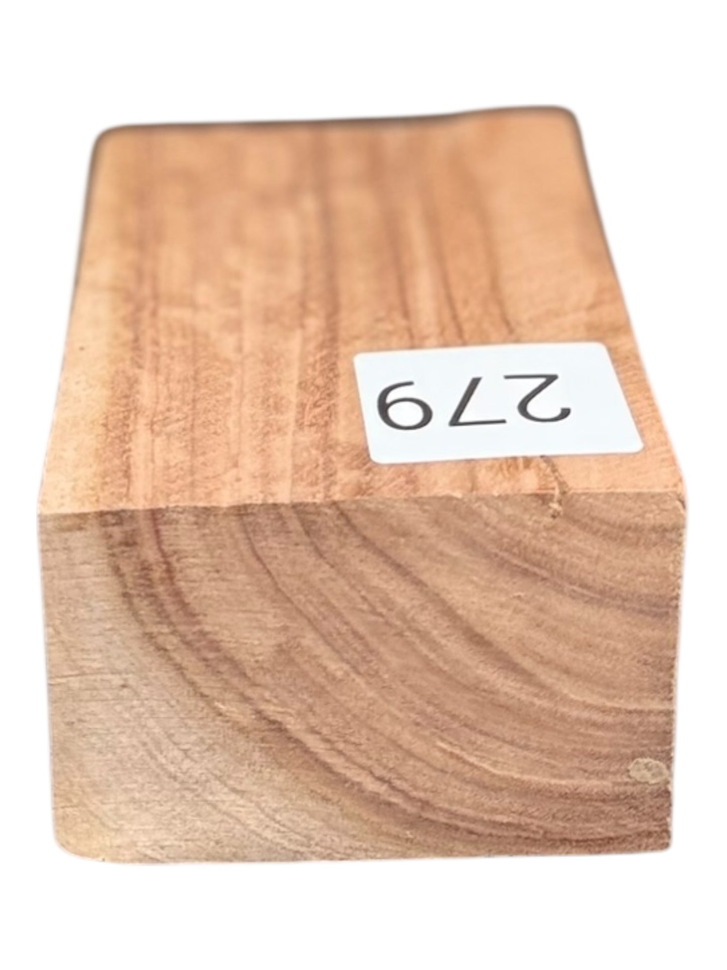 Eucalyptus Turning Blank #279
